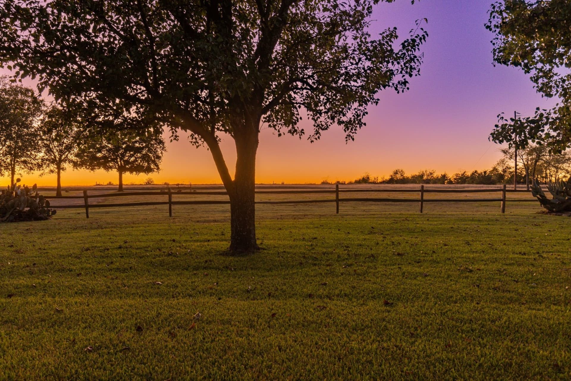 71.63 acres in Hopkins County - photo 7