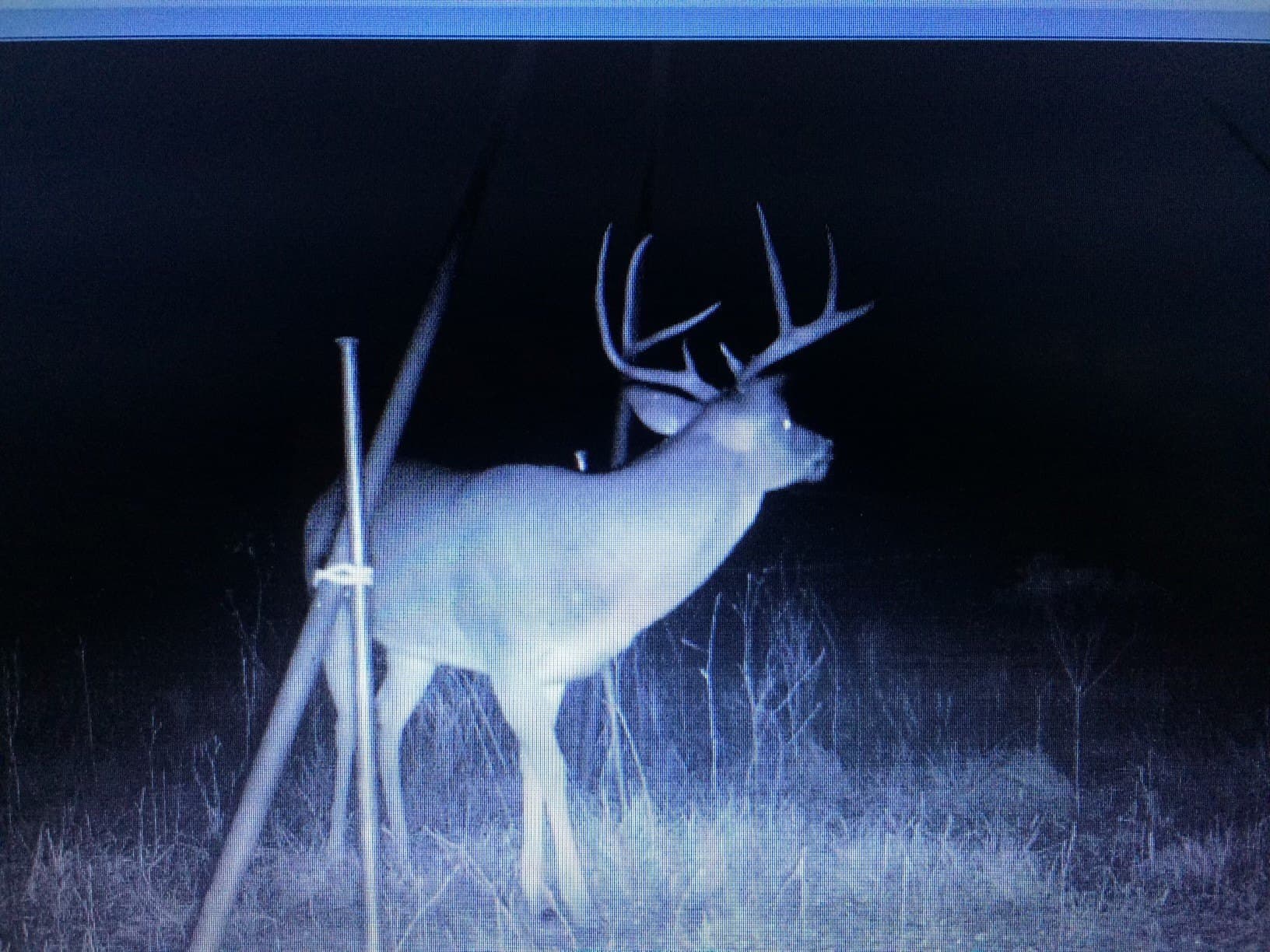 71.63 acres in Hopkins County - photo 35