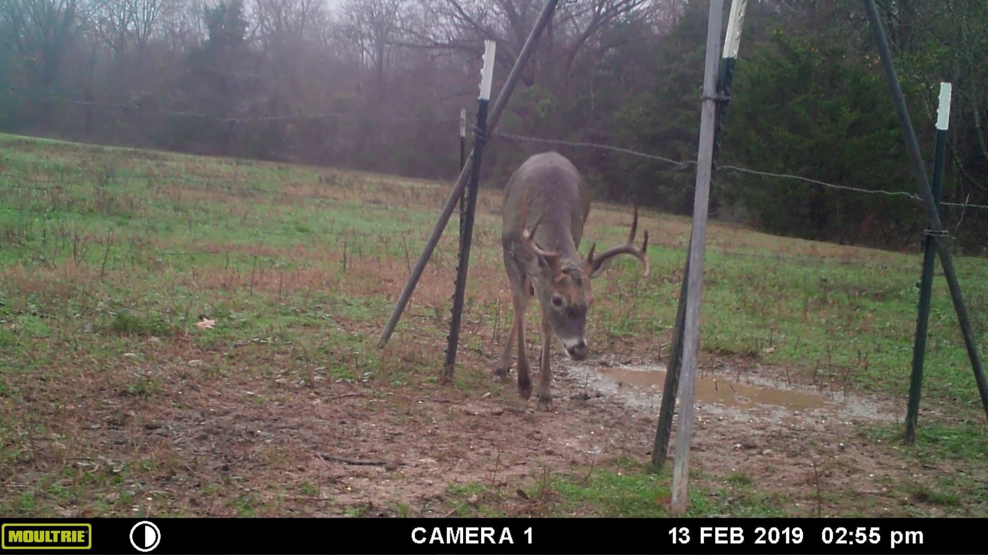 71.63 acres in Hopkins County - photo 36