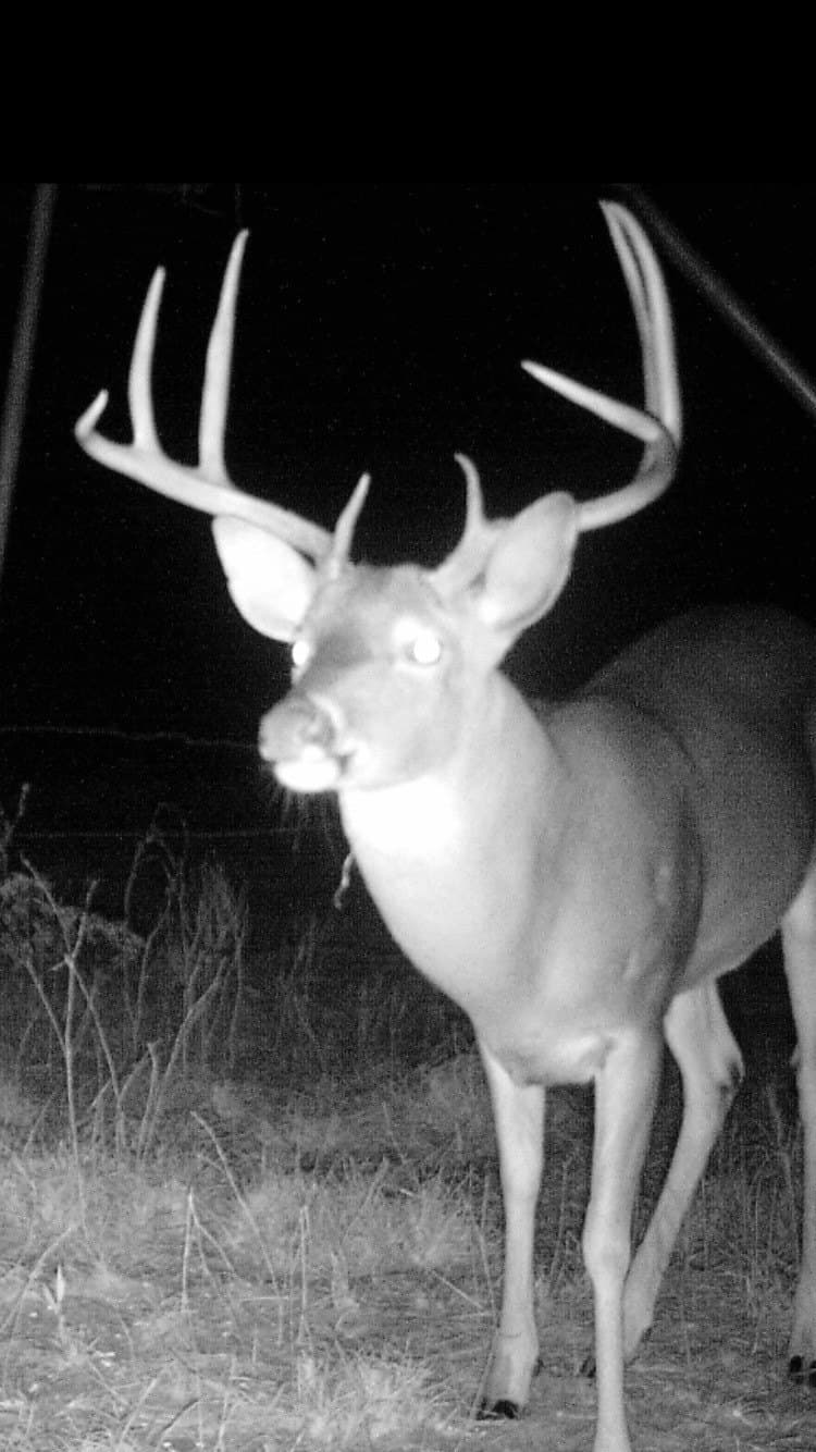 71.63 acres in Hopkins County - photo 37