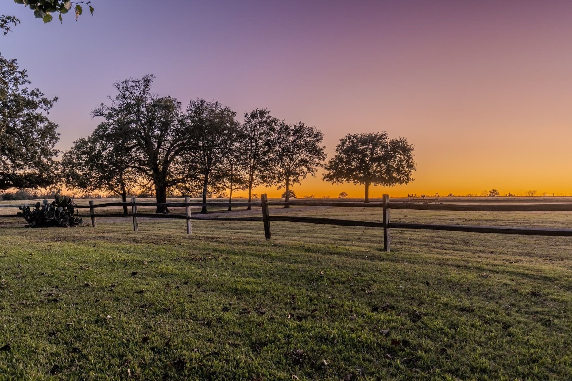 71.63 acres in Hopkins County - photo 8