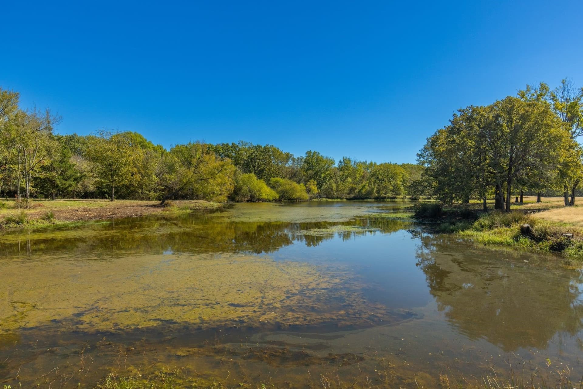 71.63 acres in Hopkins County - photo 26