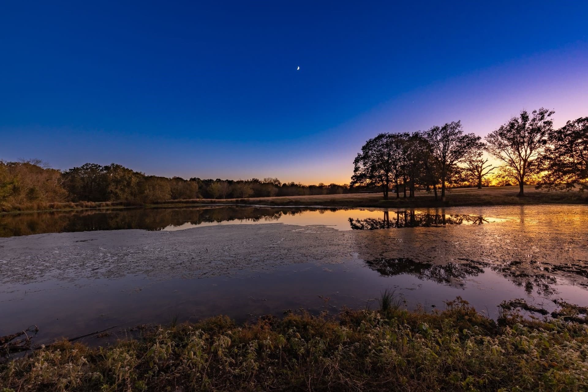 71.63 acres in Hopkins County - photo 6