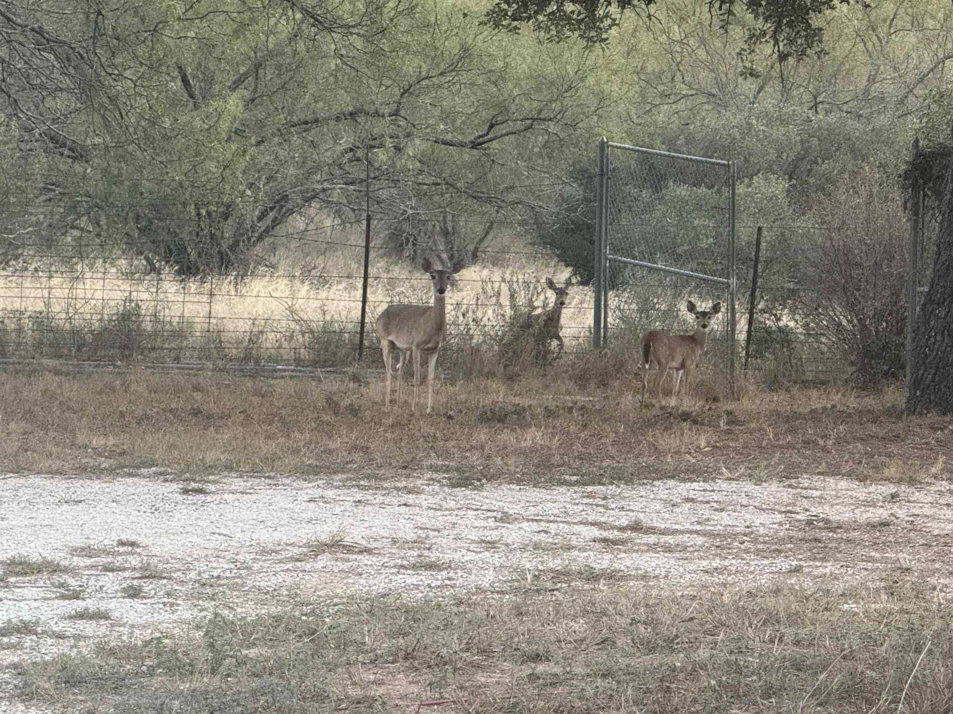 0.48 acres in Llano County gallery image 2