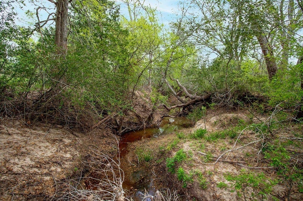 40.8 acres in Fayette County featured view