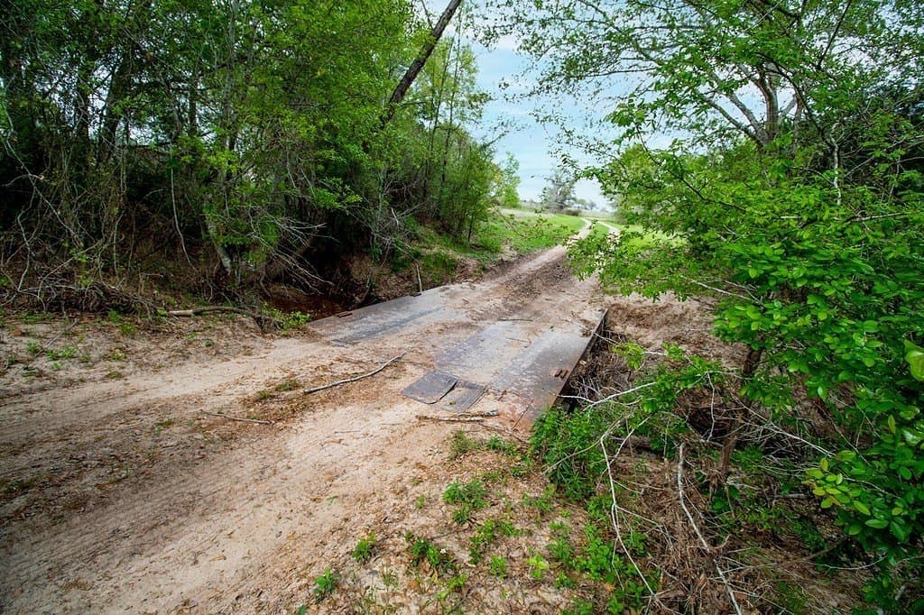 40.8 acres in Fayette County gallery image 2