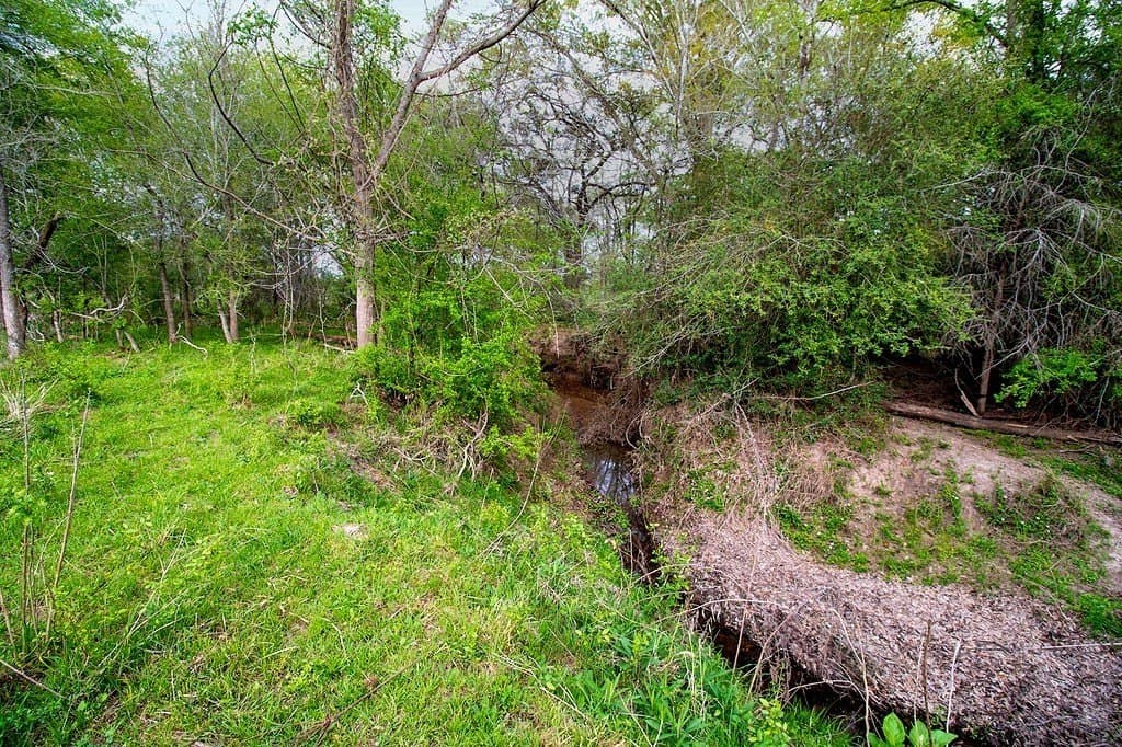 40.8 acres in Fayette County gallery image 4