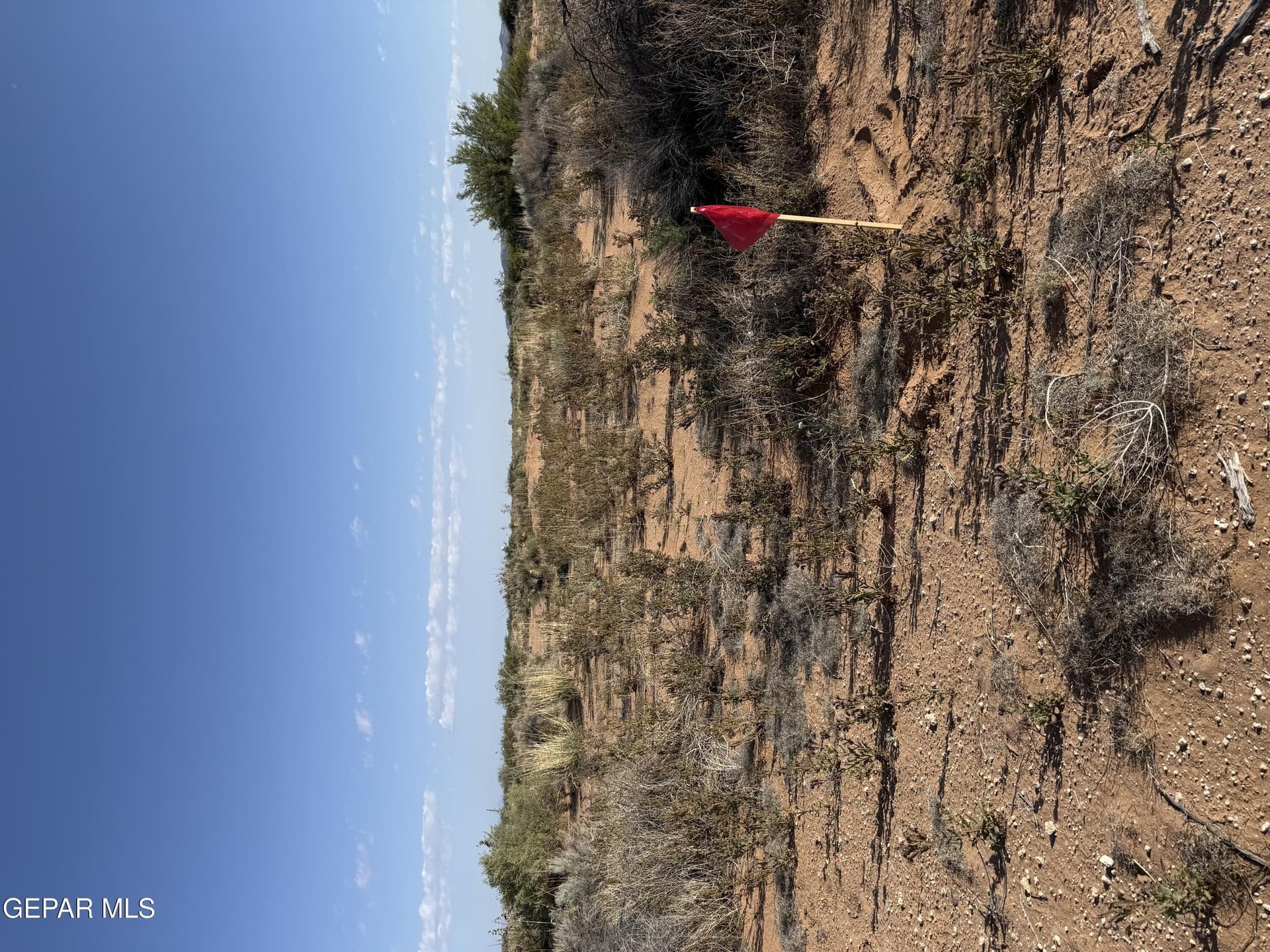 0.67 acres in El Paso County - photo 16