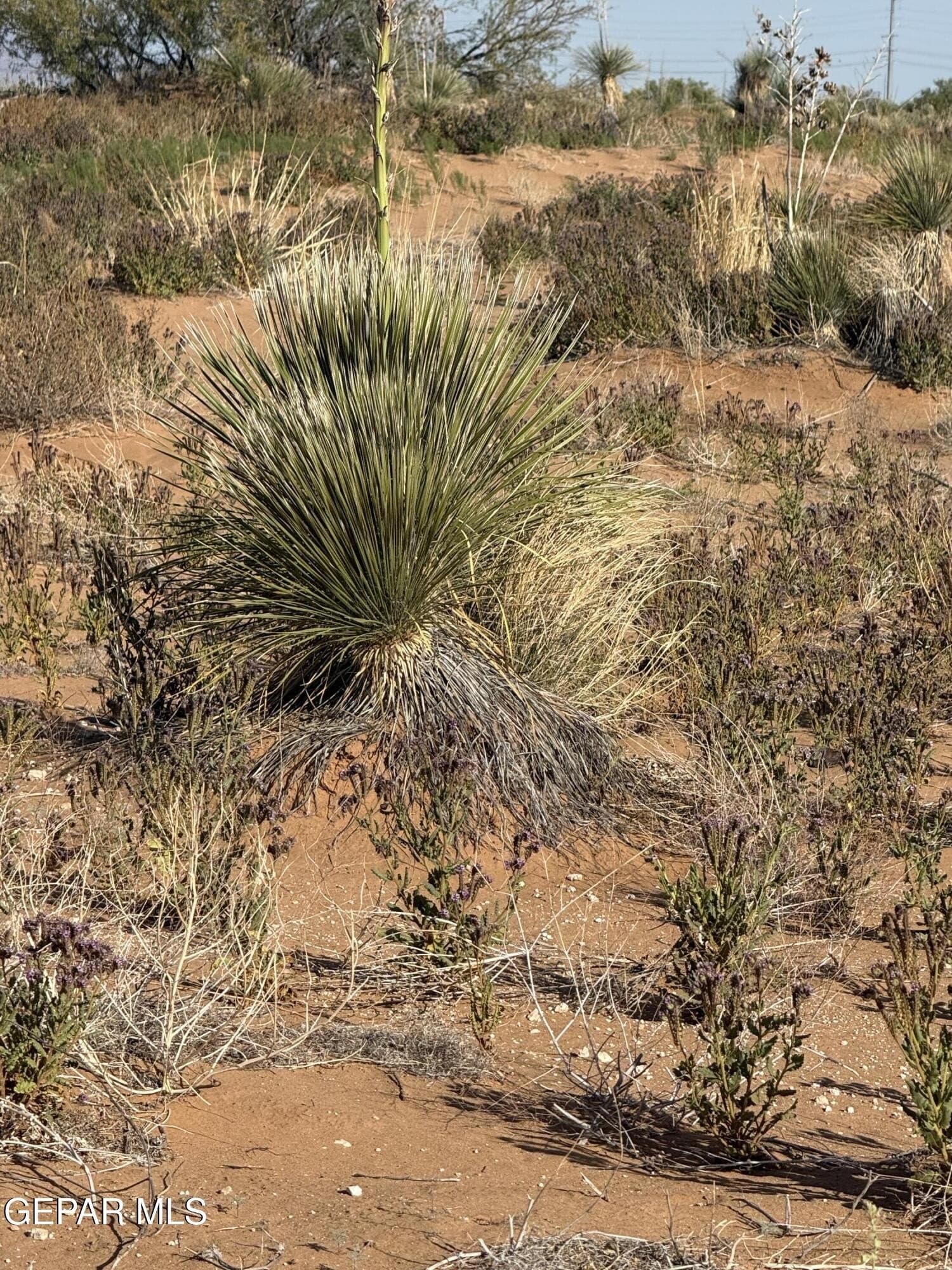 0.67 acres in El Paso County - photo 13