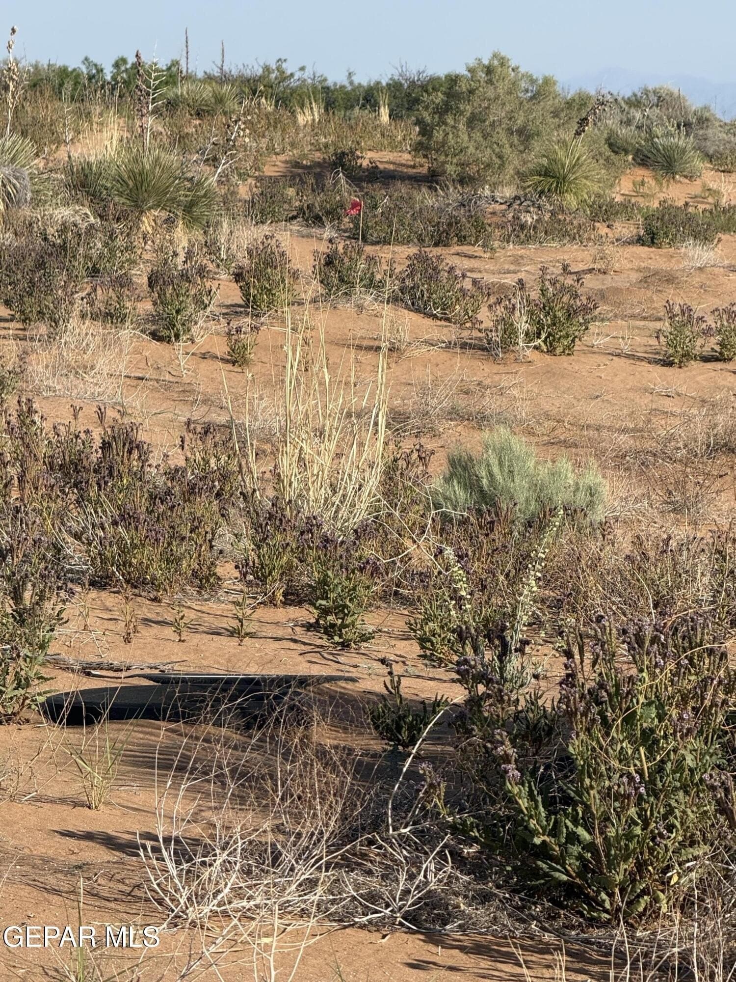 0.67 acres in El Paso County - photo 14
