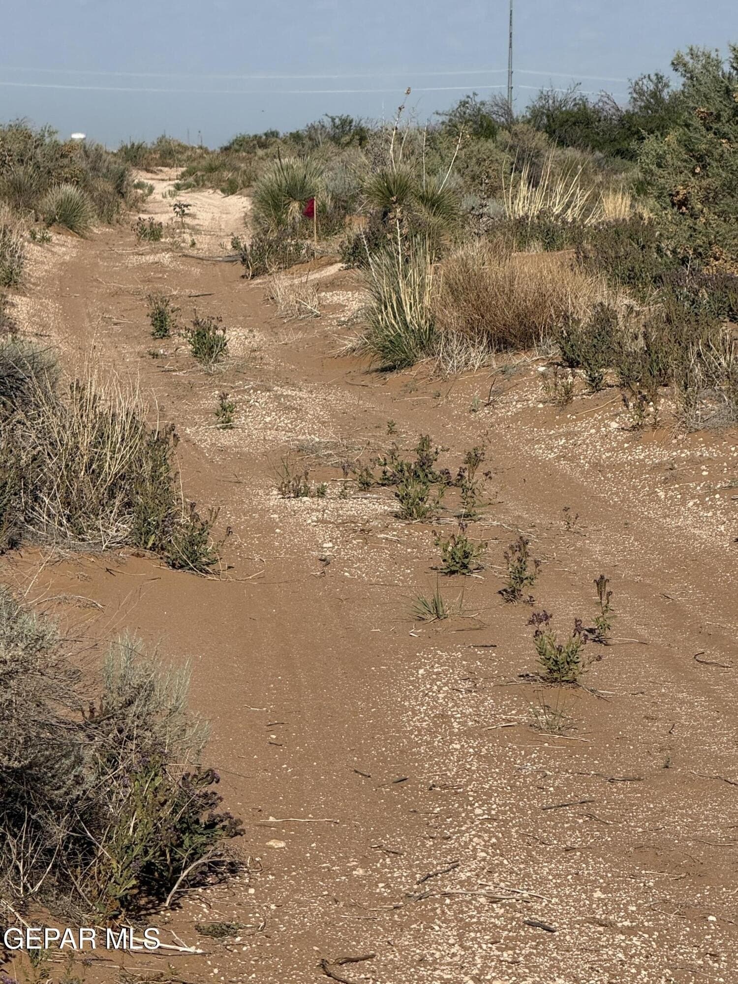0.67 acres in El Paso County - photo 10