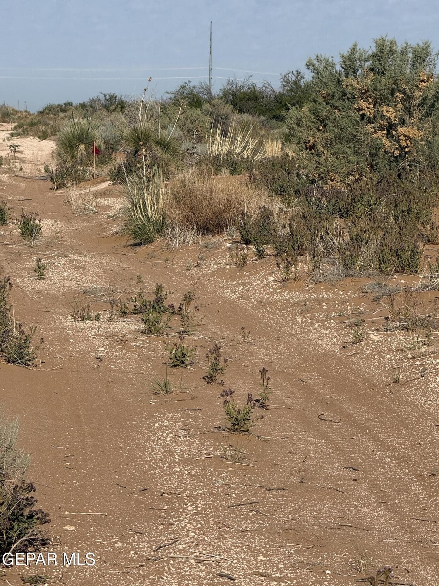 0.67 acres in El Paso County - photo 11