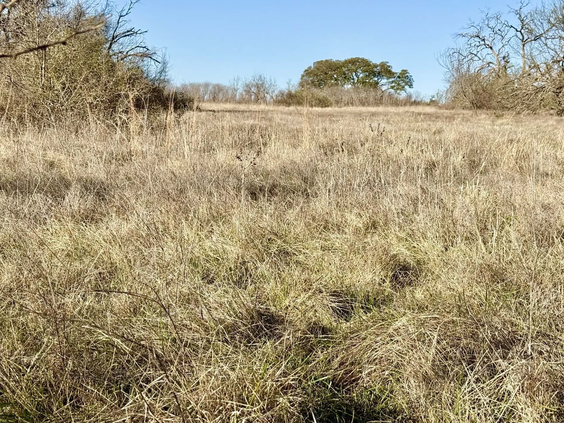 20.02 acres in Comanche County - photo 30