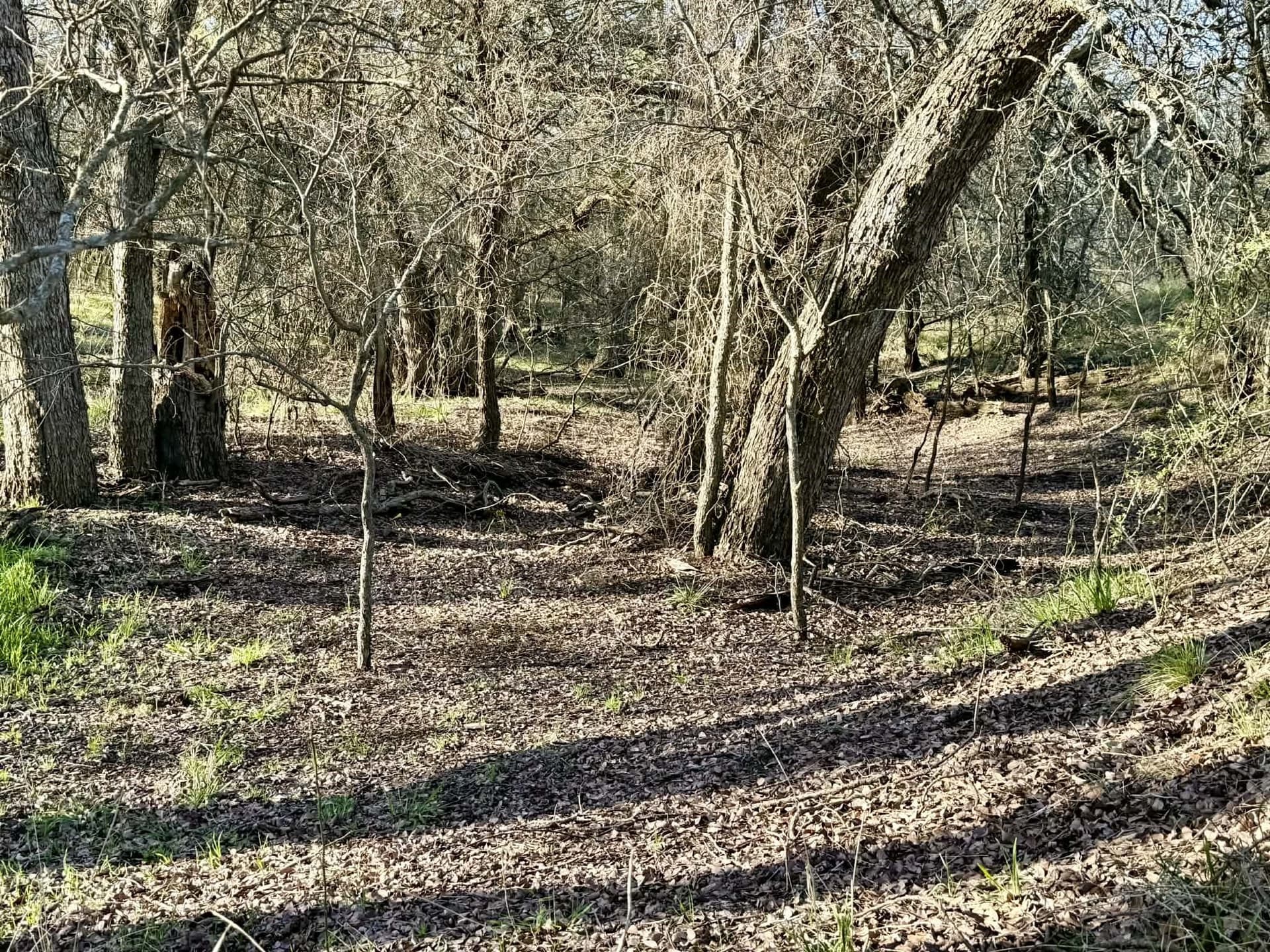 20.02 acres in Comanche County - photo 32