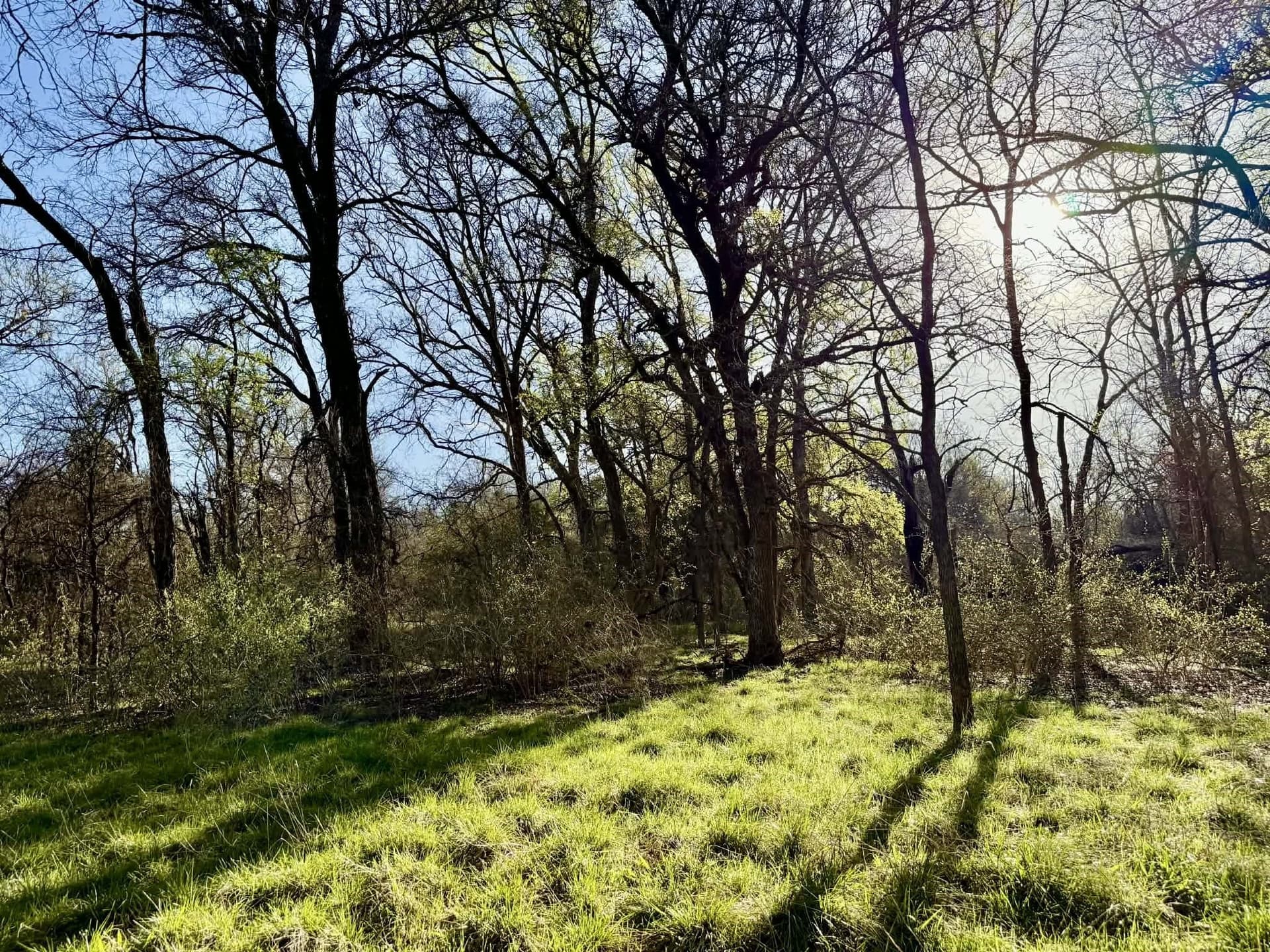 20.02 acres in Comanche County - photo 20
