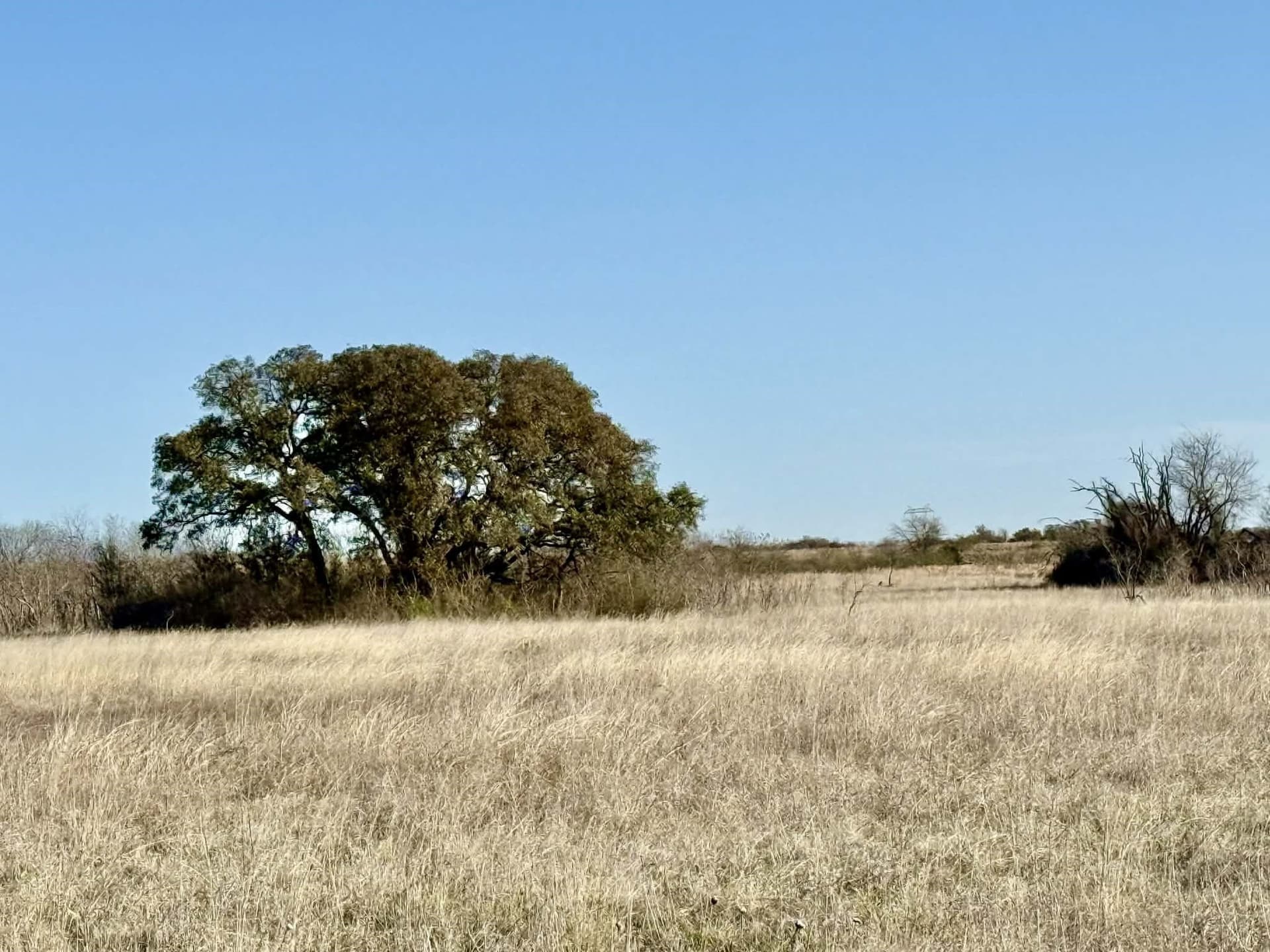 20.02 acres in Comanche County - photo 5
