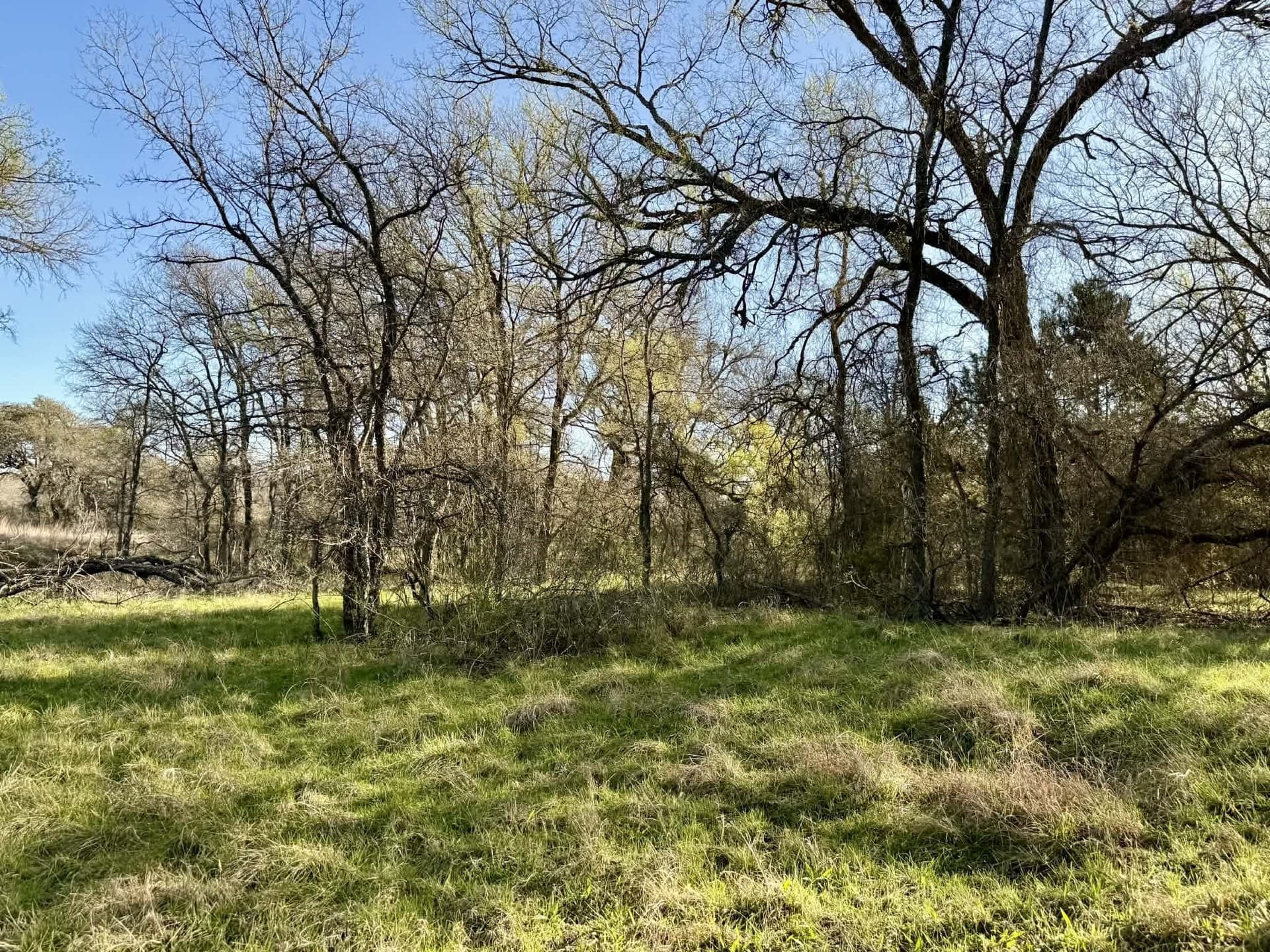 20.02 acres in Comanche County - photo 36