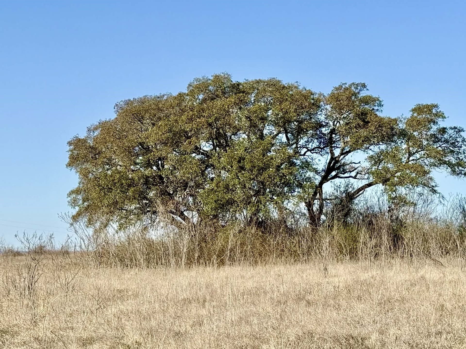 20.02 acres in Comanche County - photo 38