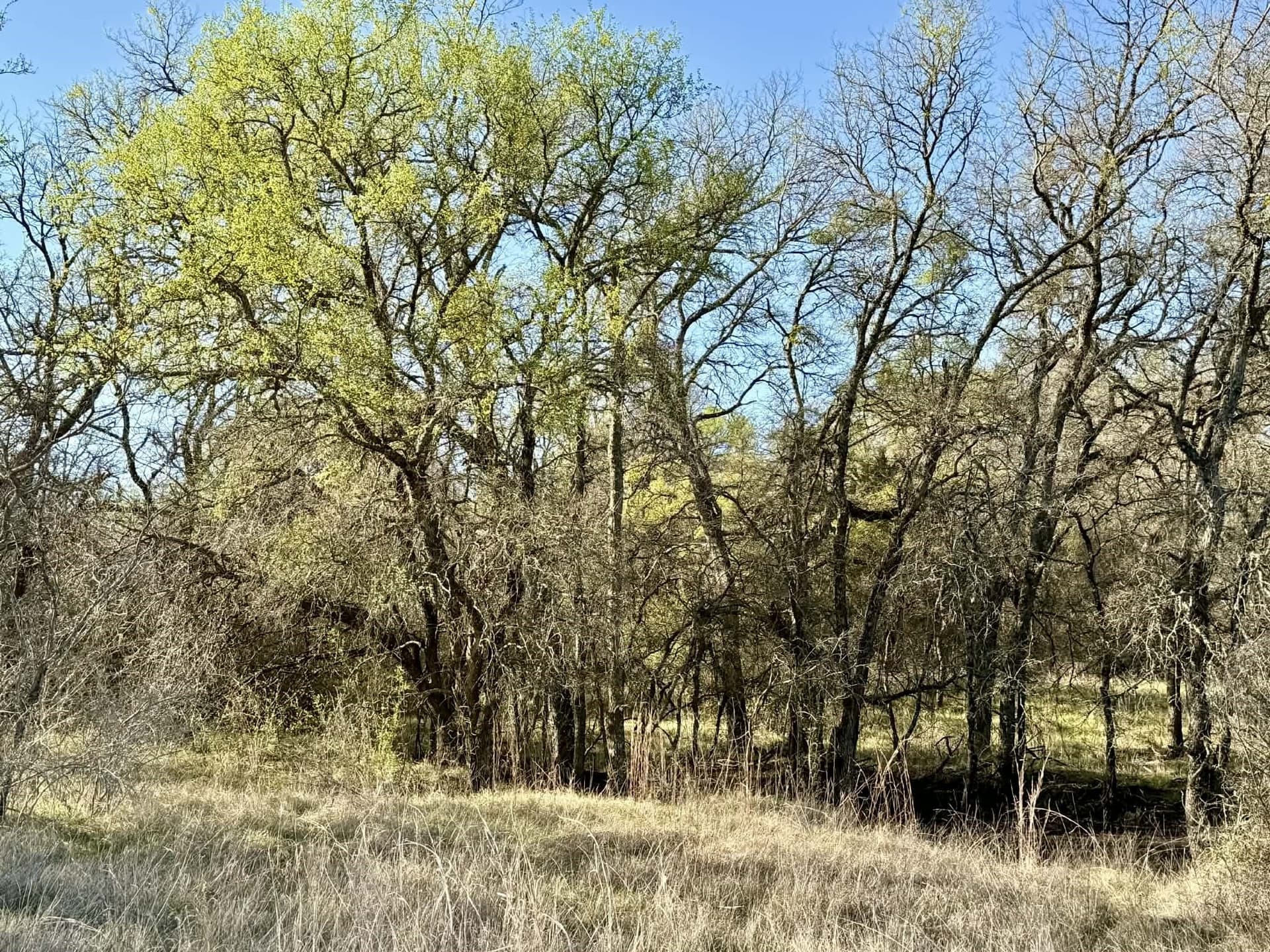 20.02 acres in Comanche County - photo 40