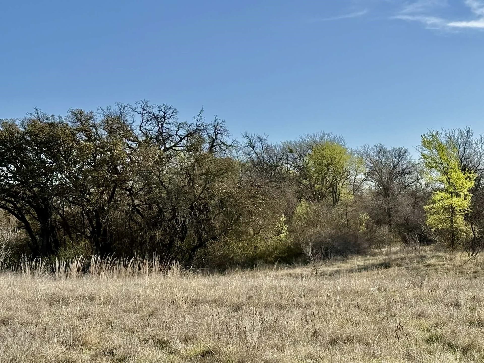 20.02 acres in Comanche County - photo 23