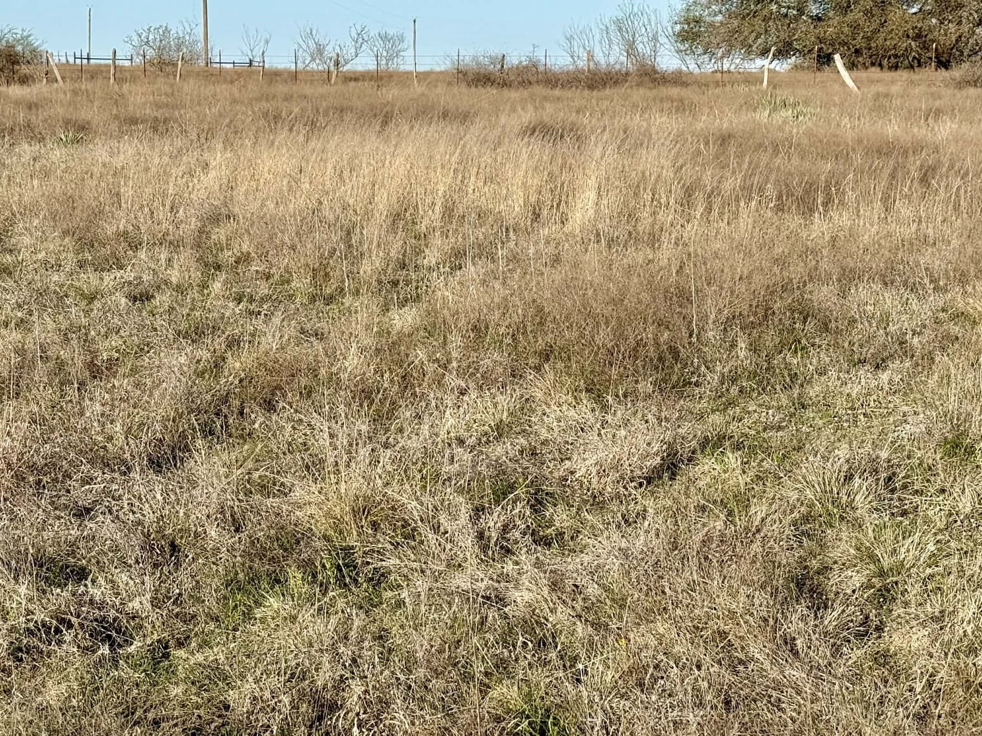 20.02 acres in Comanche County - photo 17