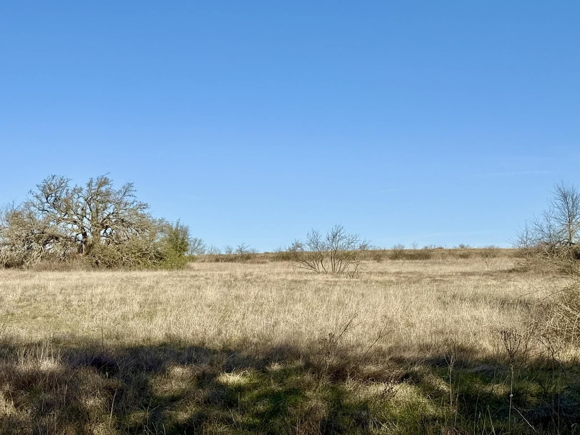 20.02 acres in Comanche County - photo 9