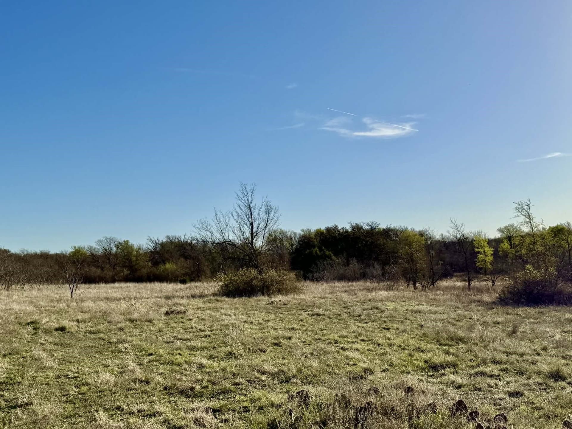 20.02 acres in Comanche County - photo 15