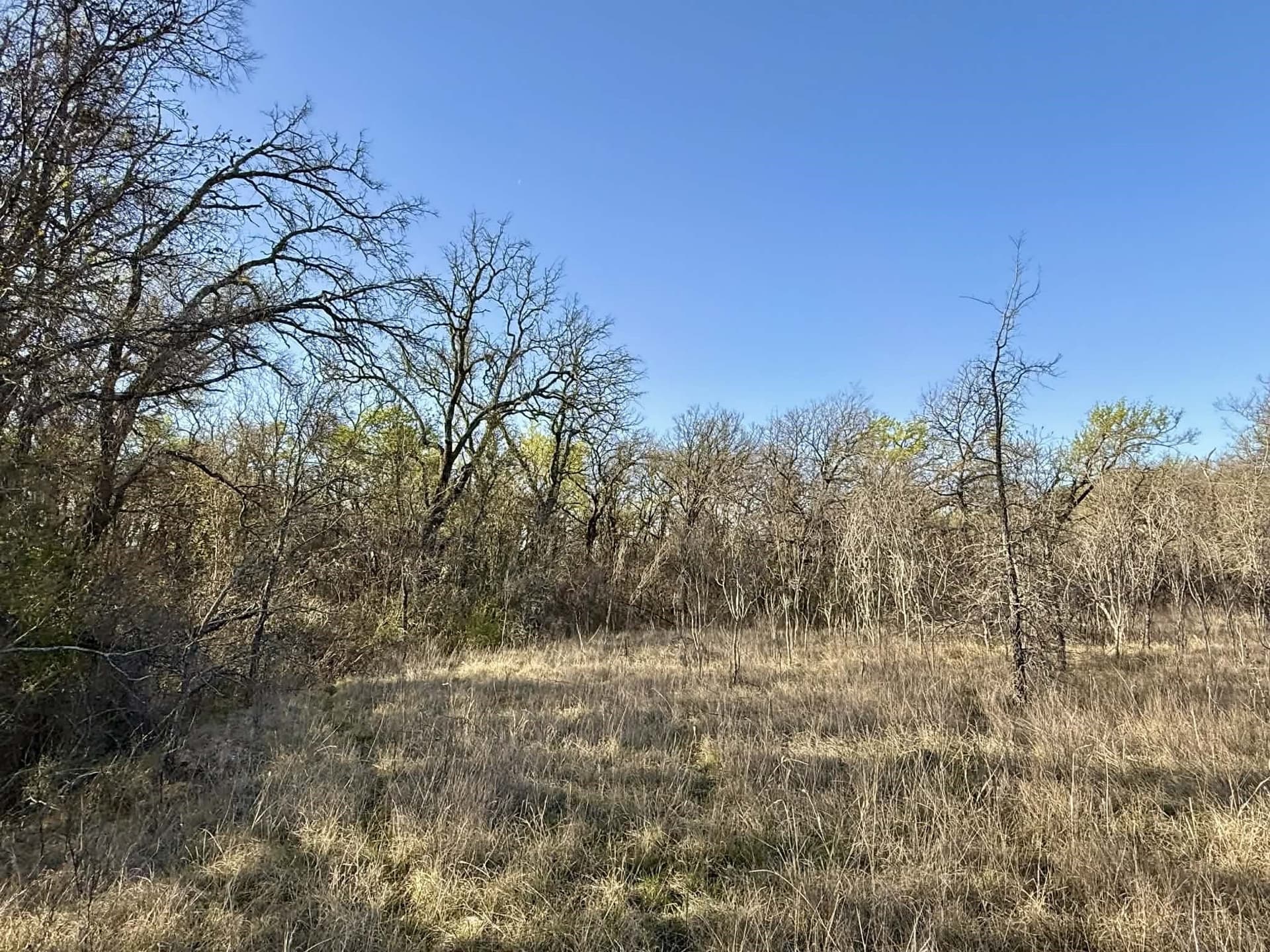 20.02 acres in Comanche County - photo 22