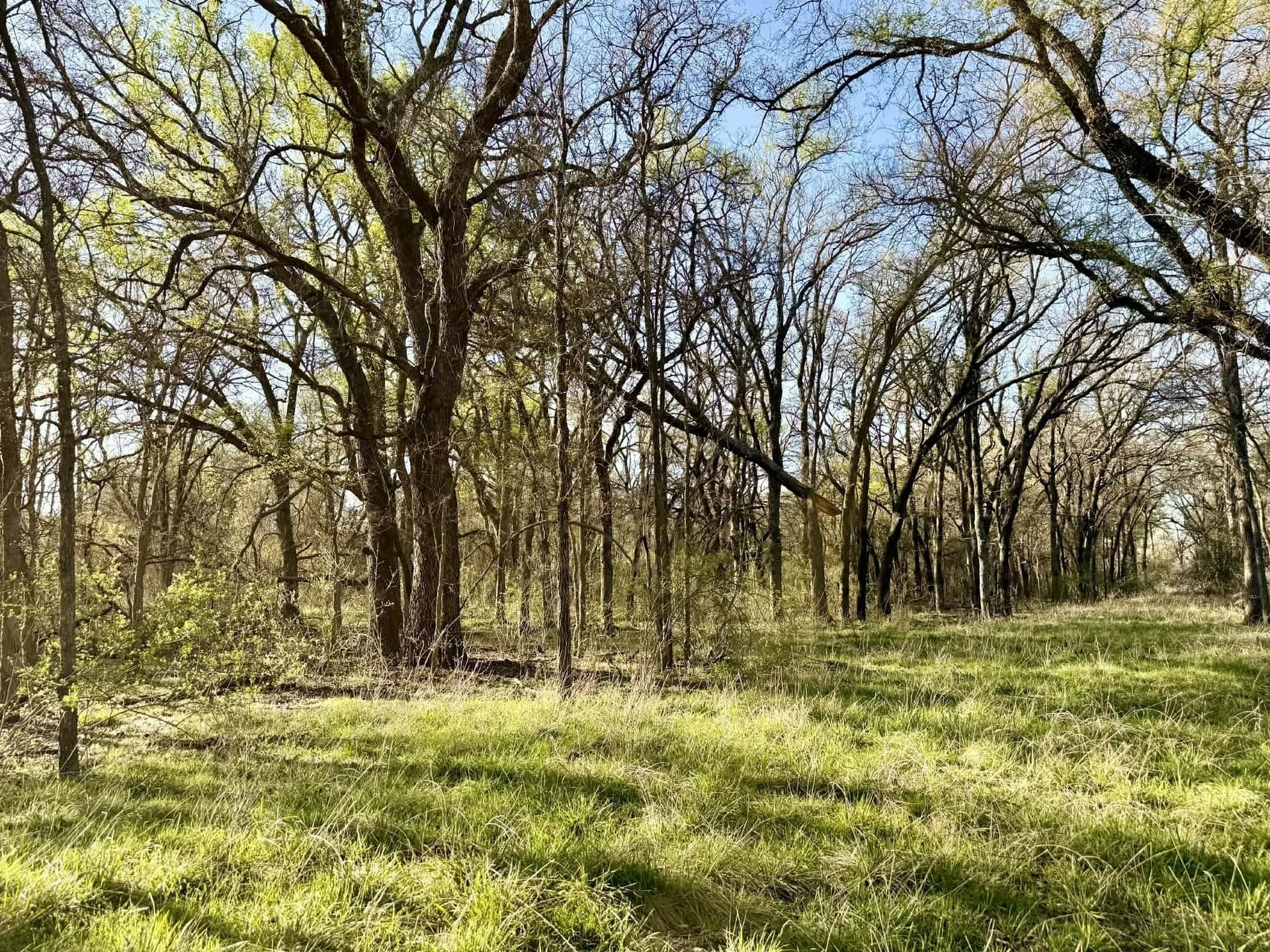 20.02 acres in Comanche County - photo 34
