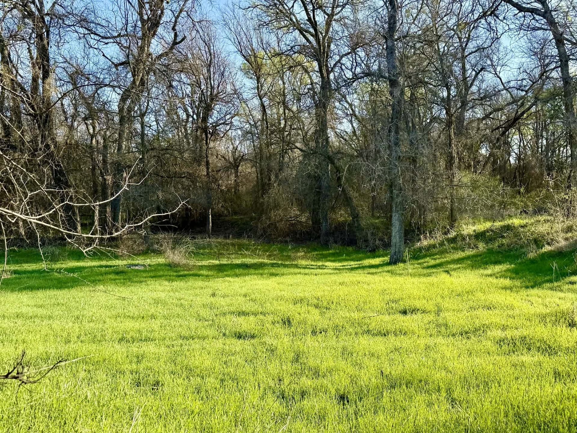 20.02 acres in Comanche County - photo 4