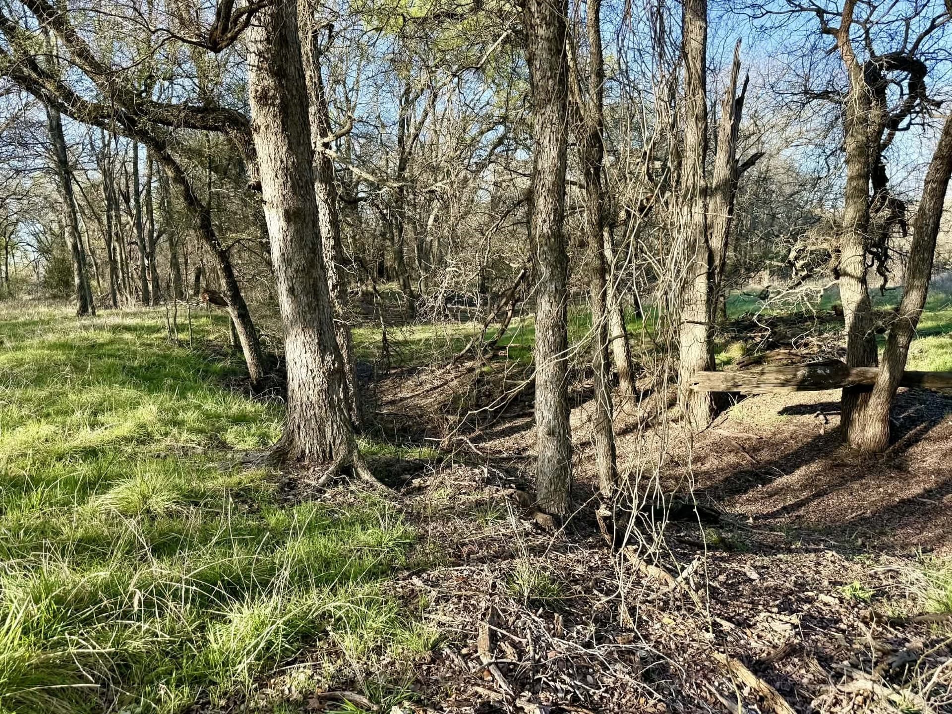 20.02 acres in Comanche County - photo 19