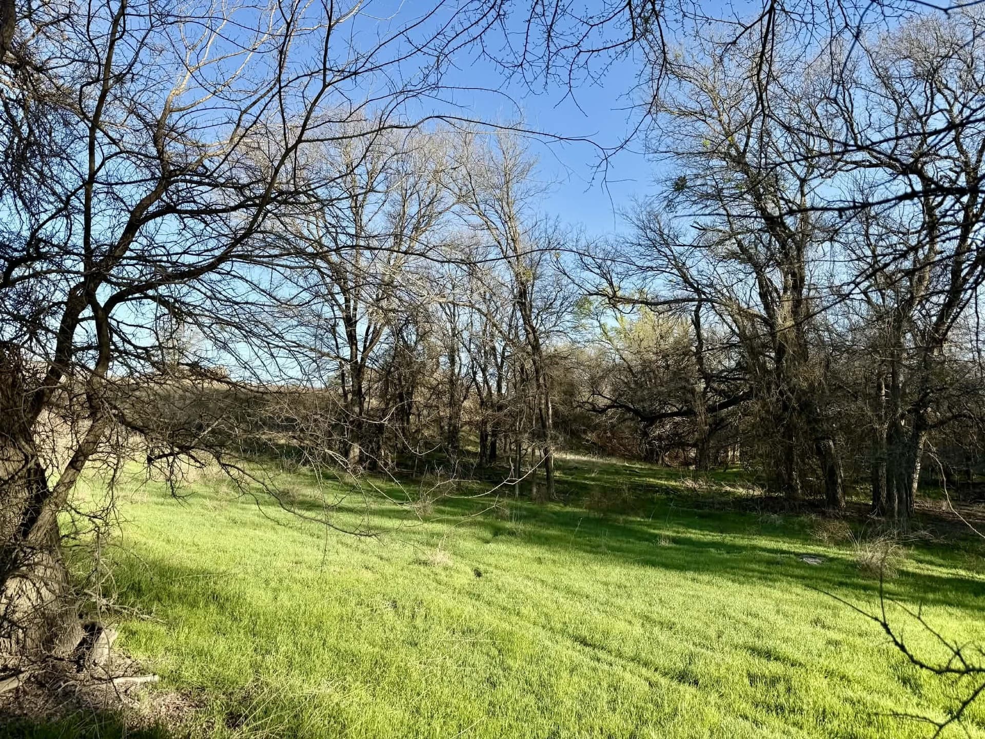 20.02 acres in Comanche County - photo 24