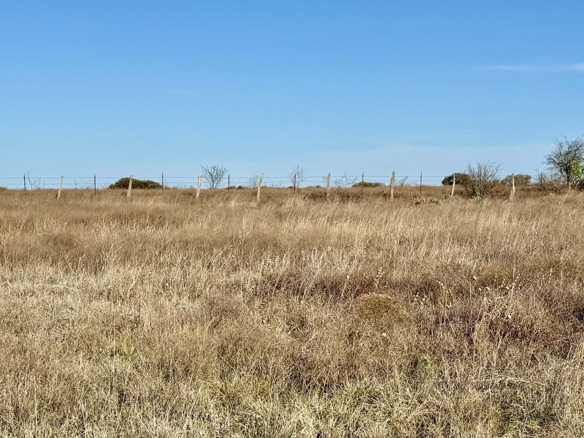 20.02 acres in Comanche County - photo 28