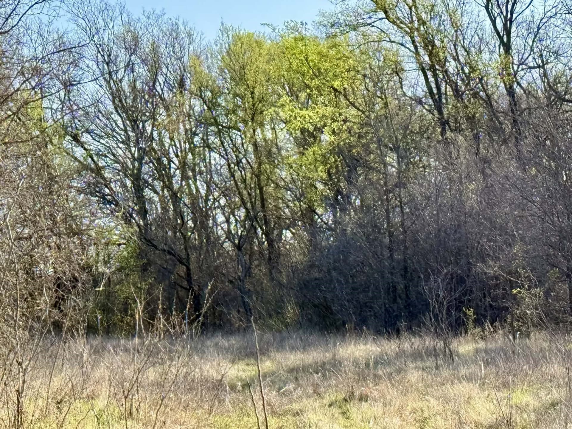 20.02 acres in Comanche County - photo 21