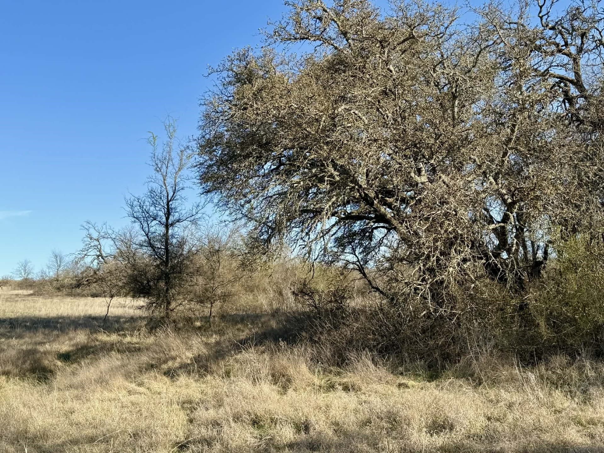 20.02 acres in Comanche County - photo 16