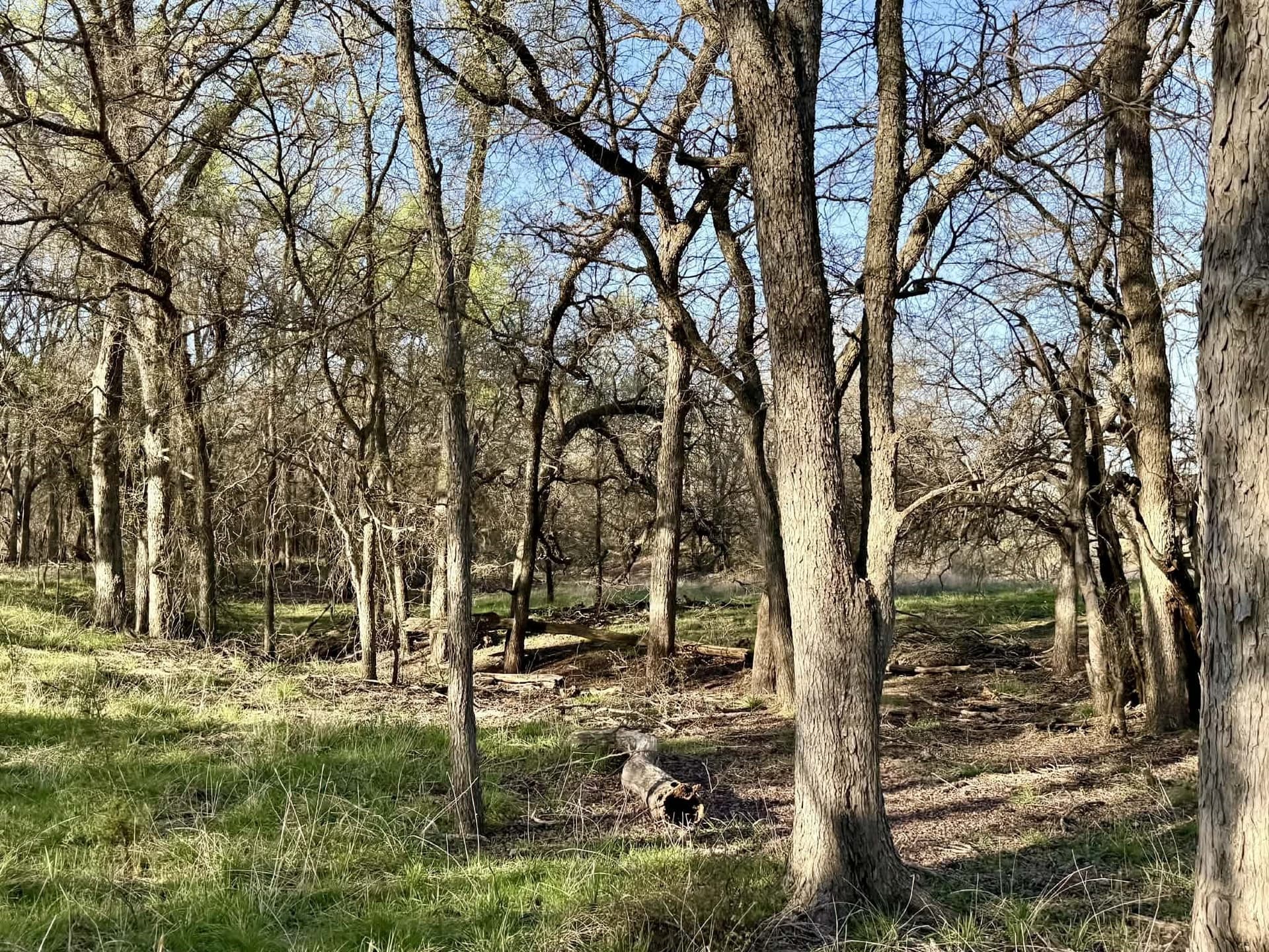 20.02 acres in Comanche County - photo 25