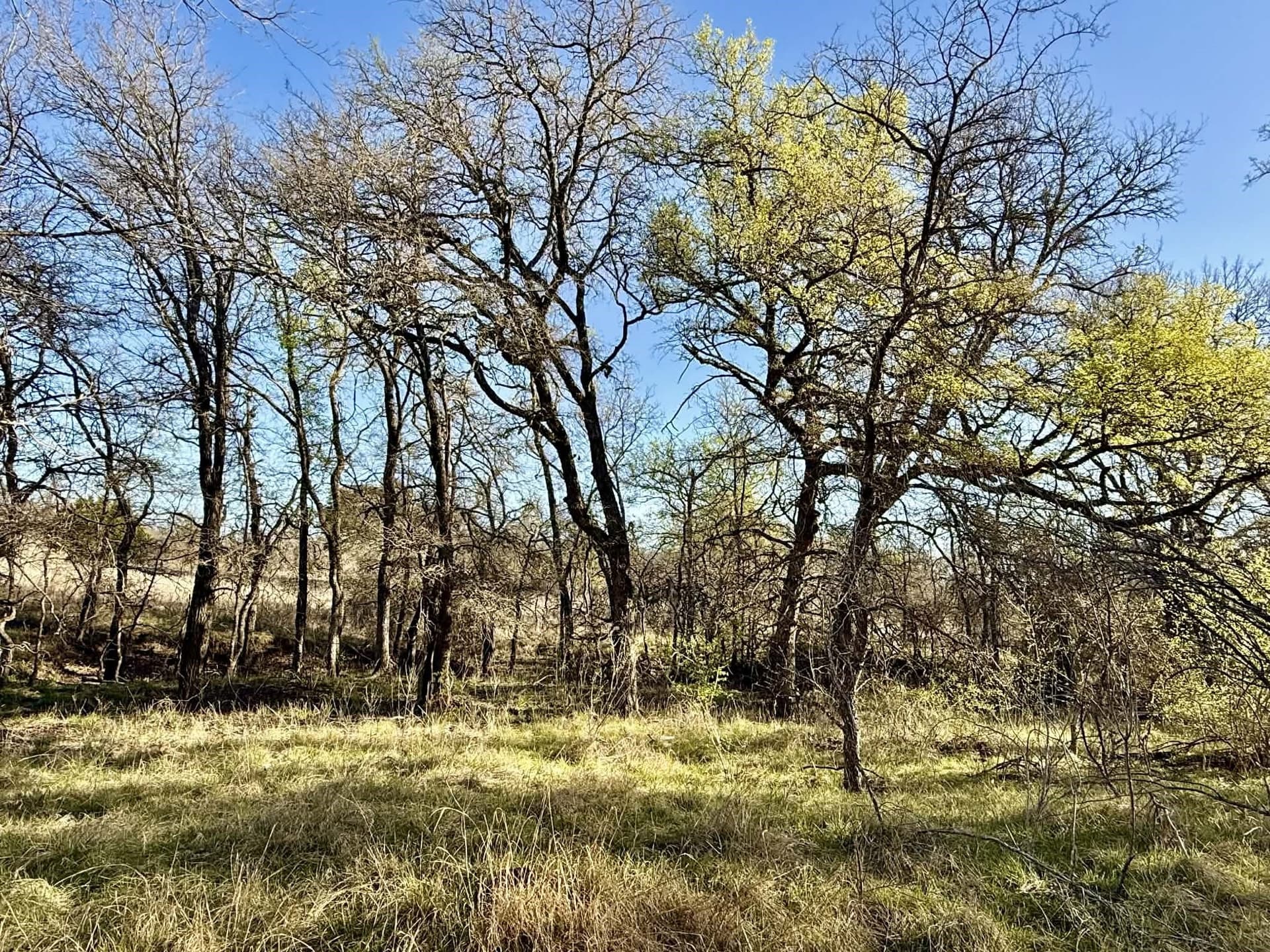 20.02 acres in Comanche County - photo 29