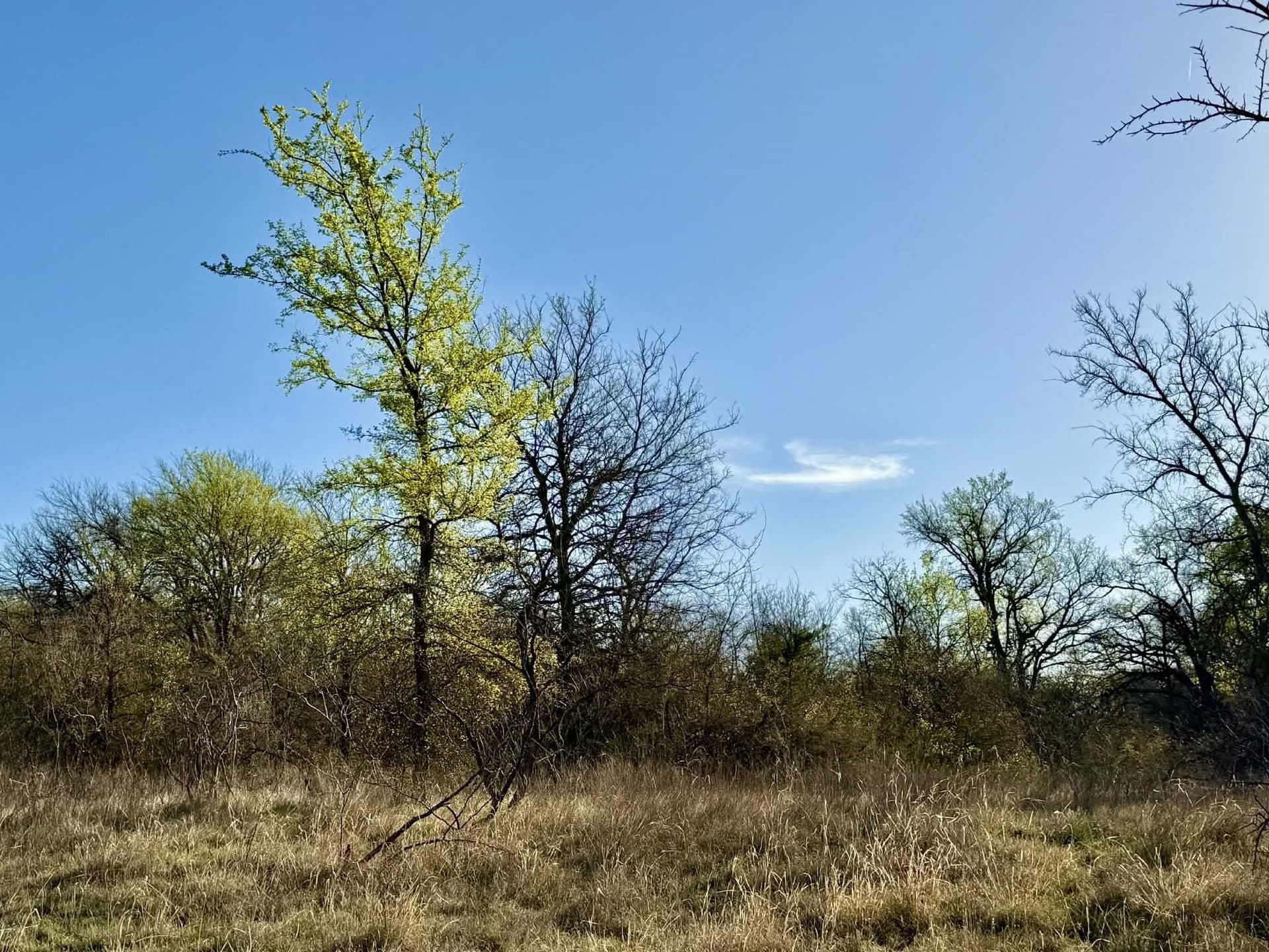 20.02 acres in Comanche County - photo 13