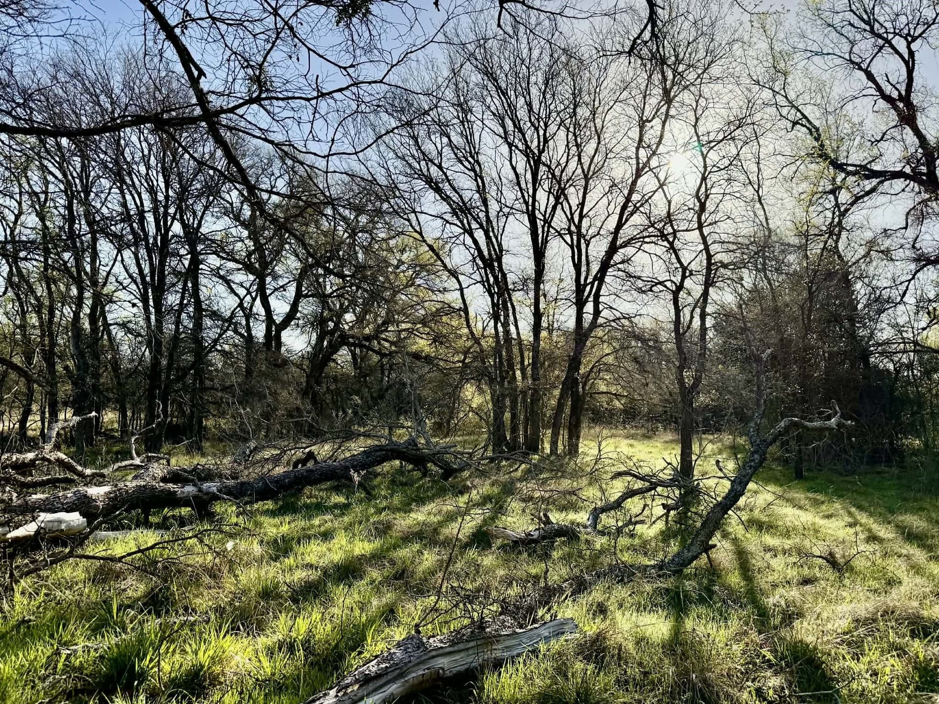 20.02 acres in Comanche County - photo 35