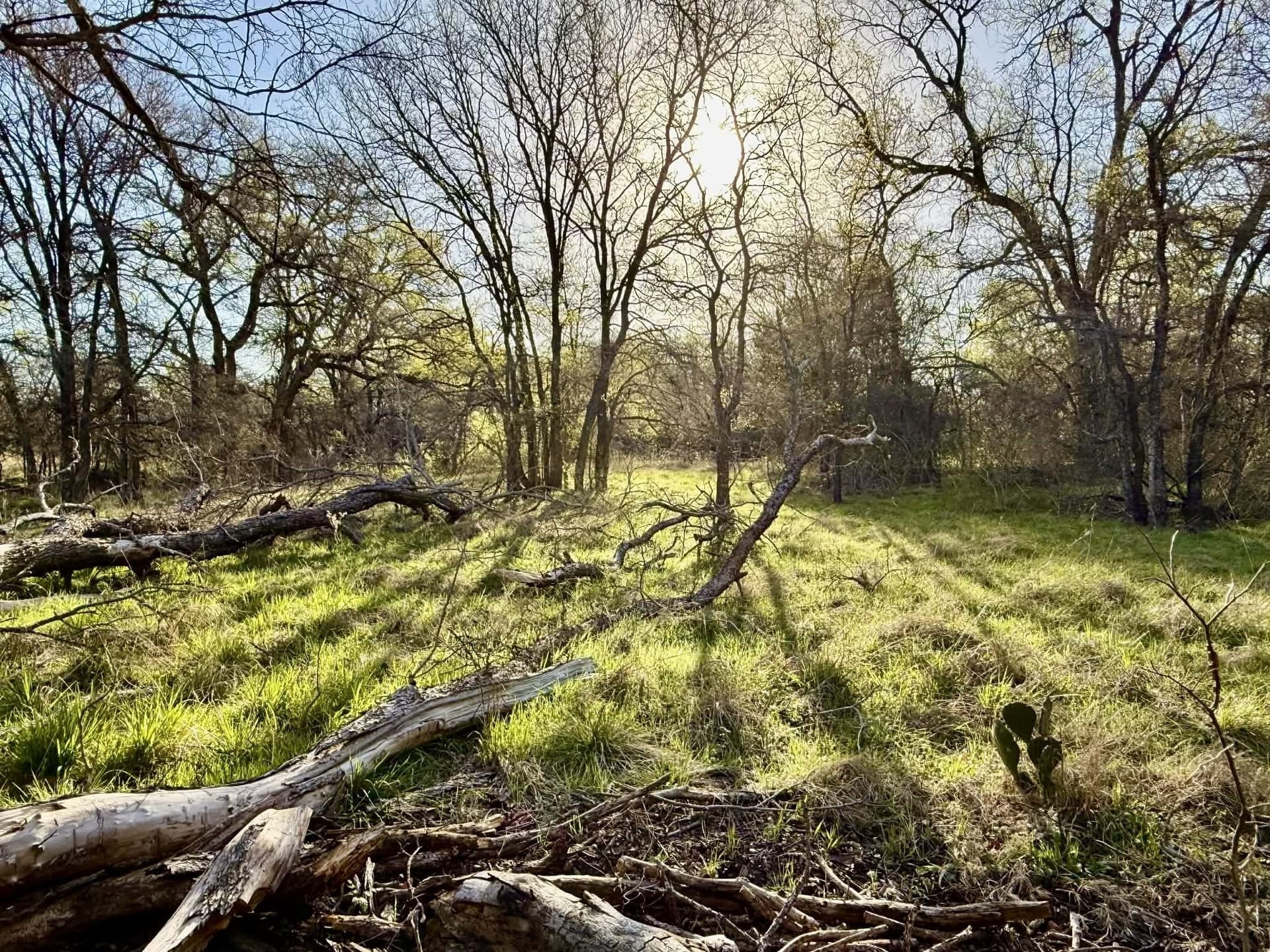 20.02 acres in Comanche County - photo 3