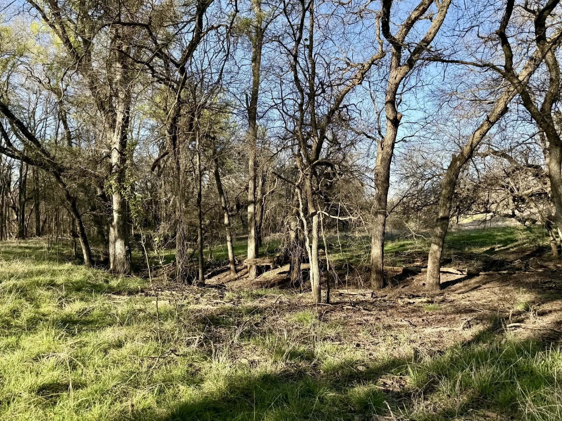 20.02 acres in Comanche County - photo 11