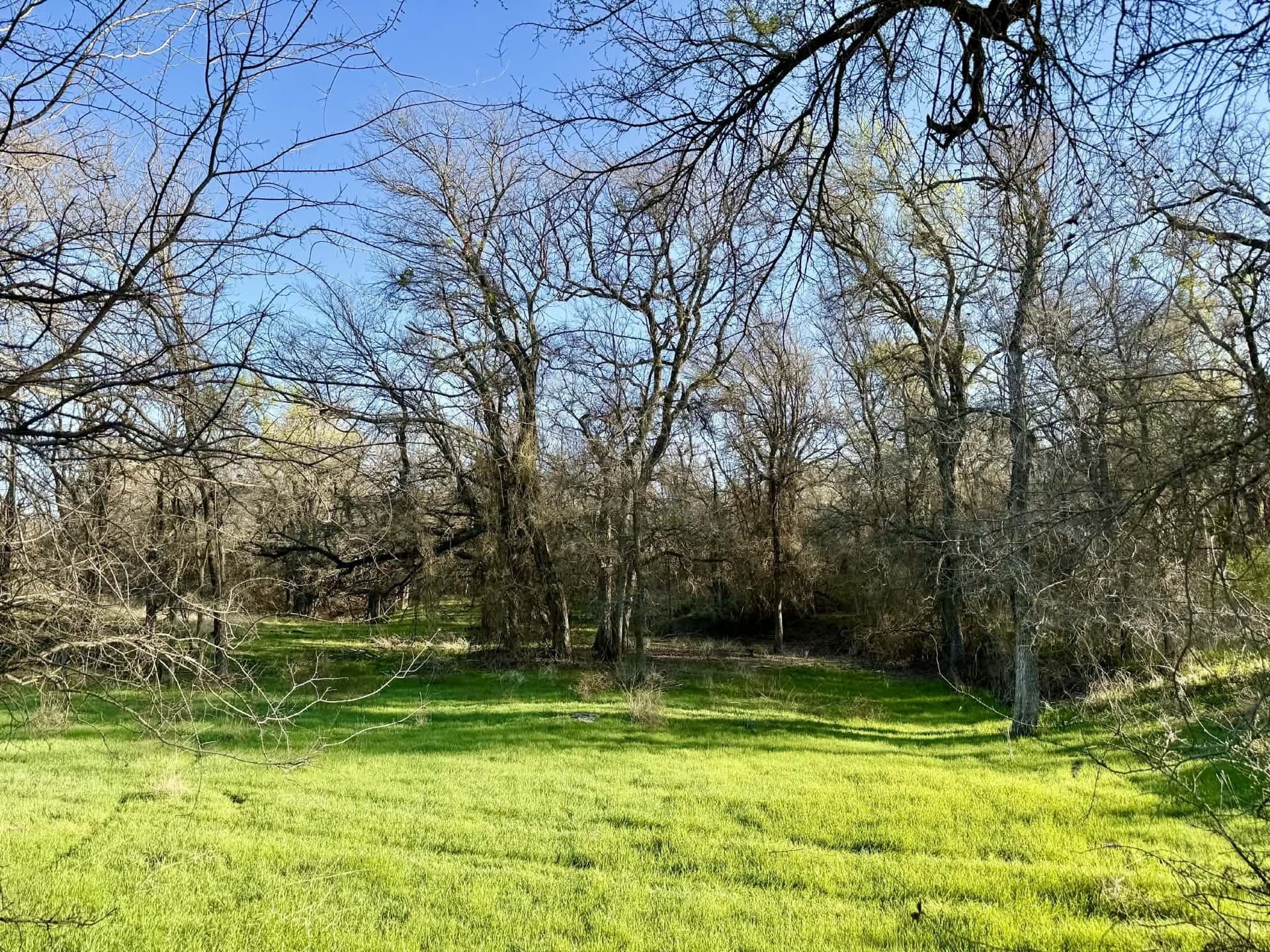 20.02 acres in Comanche County - photo 31