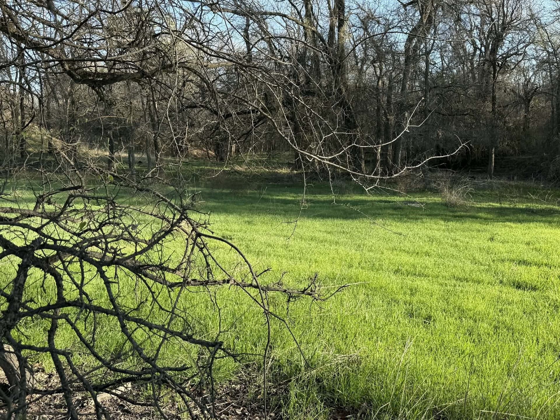 20.02 acres in Comanche County - photo 33