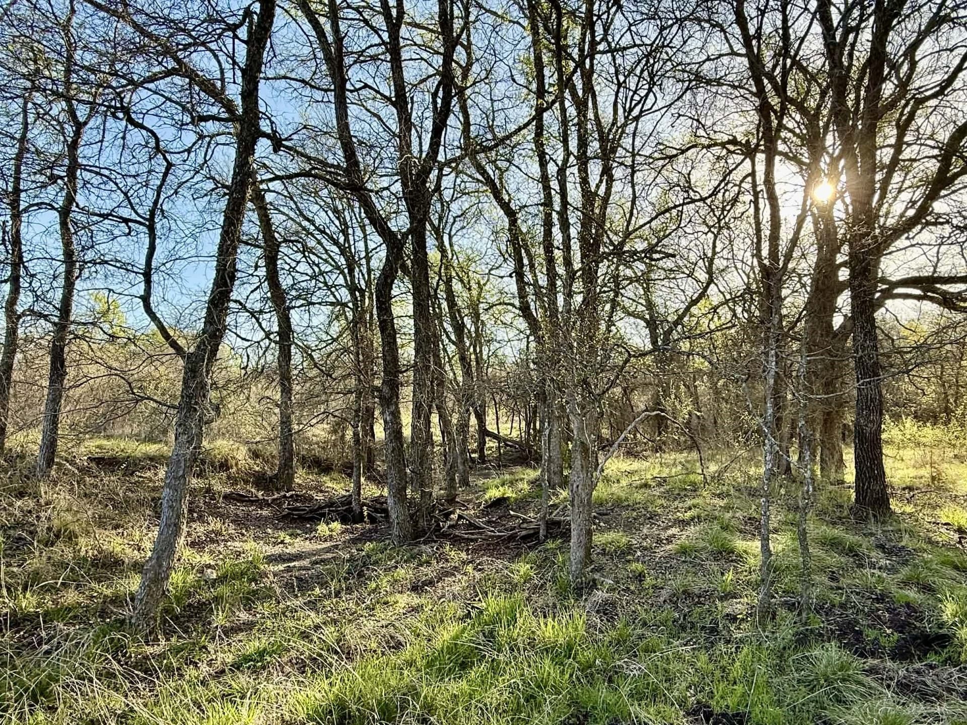 20.02 acres in Comanche County - photo 2