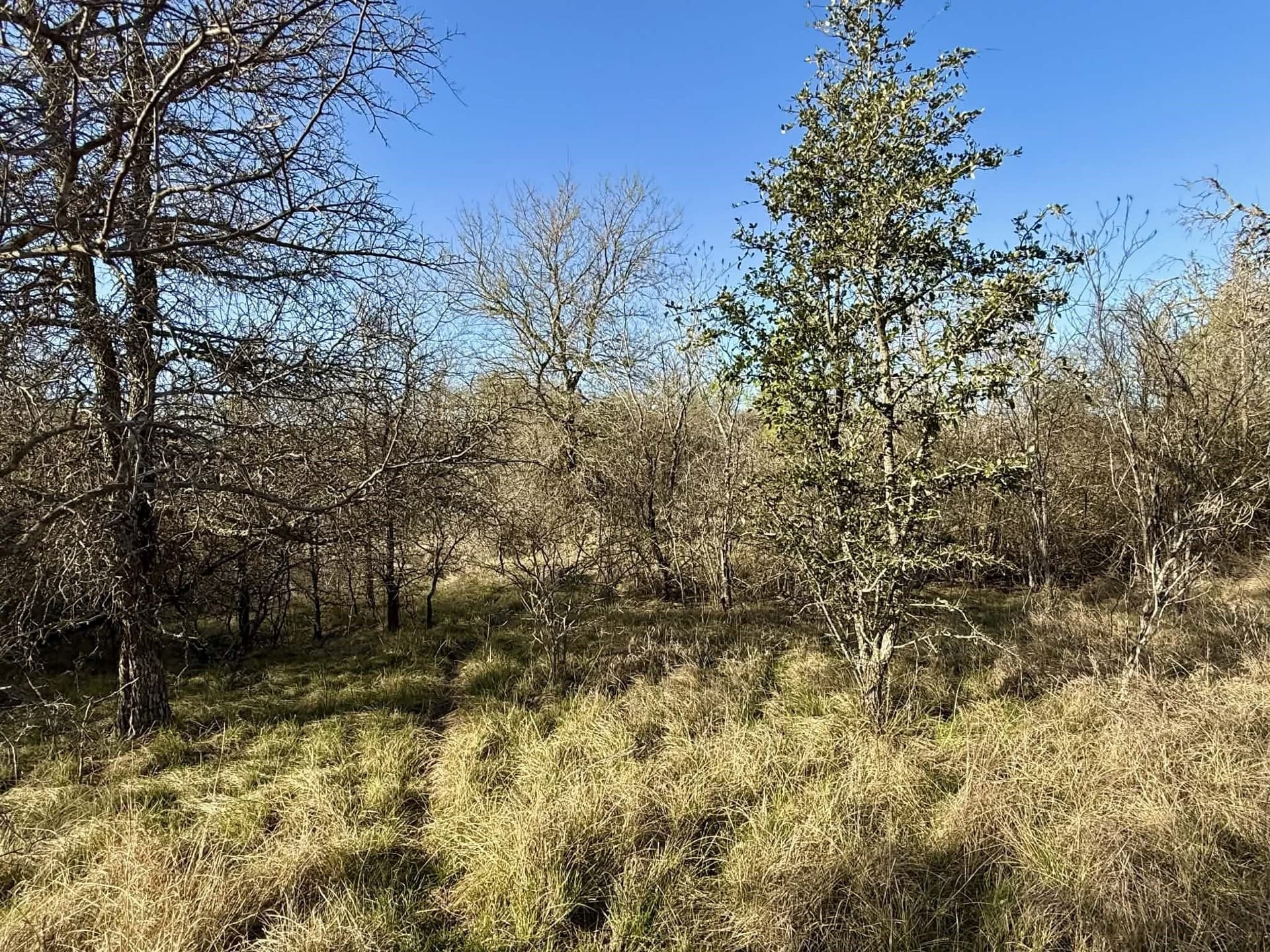 20.02 acres in Comanche County - photo 14