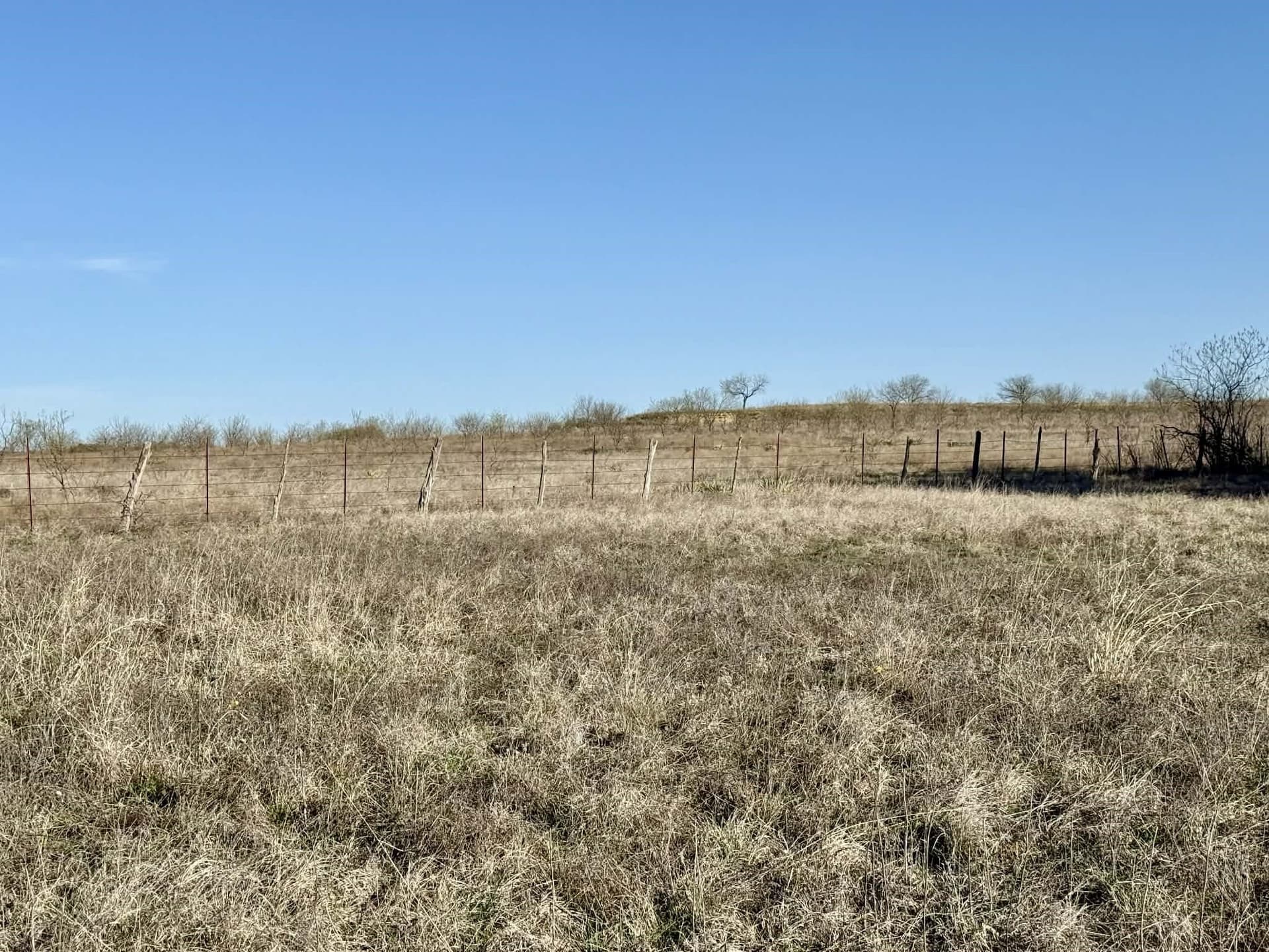 20.02 acres in Comanche County - photo 12