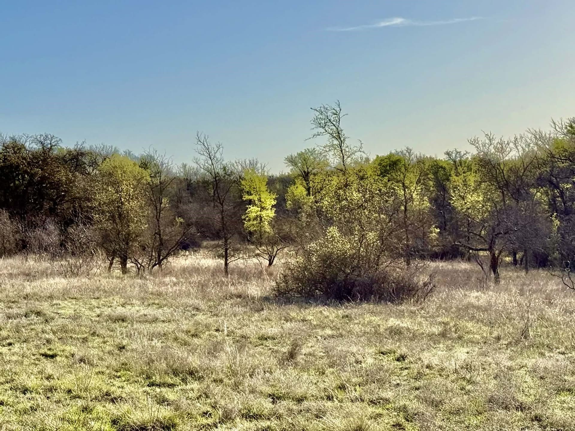 20.02 acres in Comanche County - photo 18
