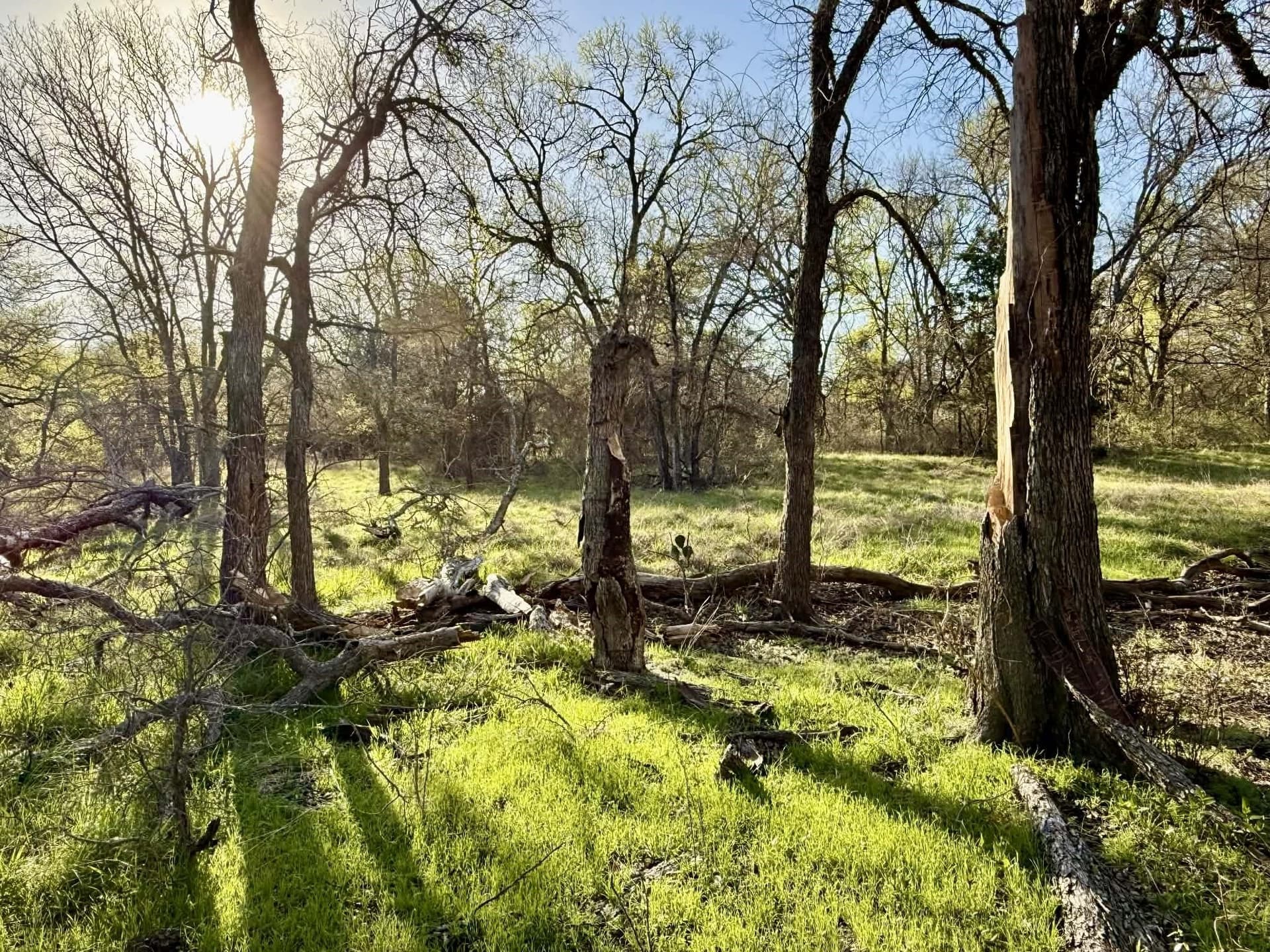 20.02 acres in Comanche County - photo 37