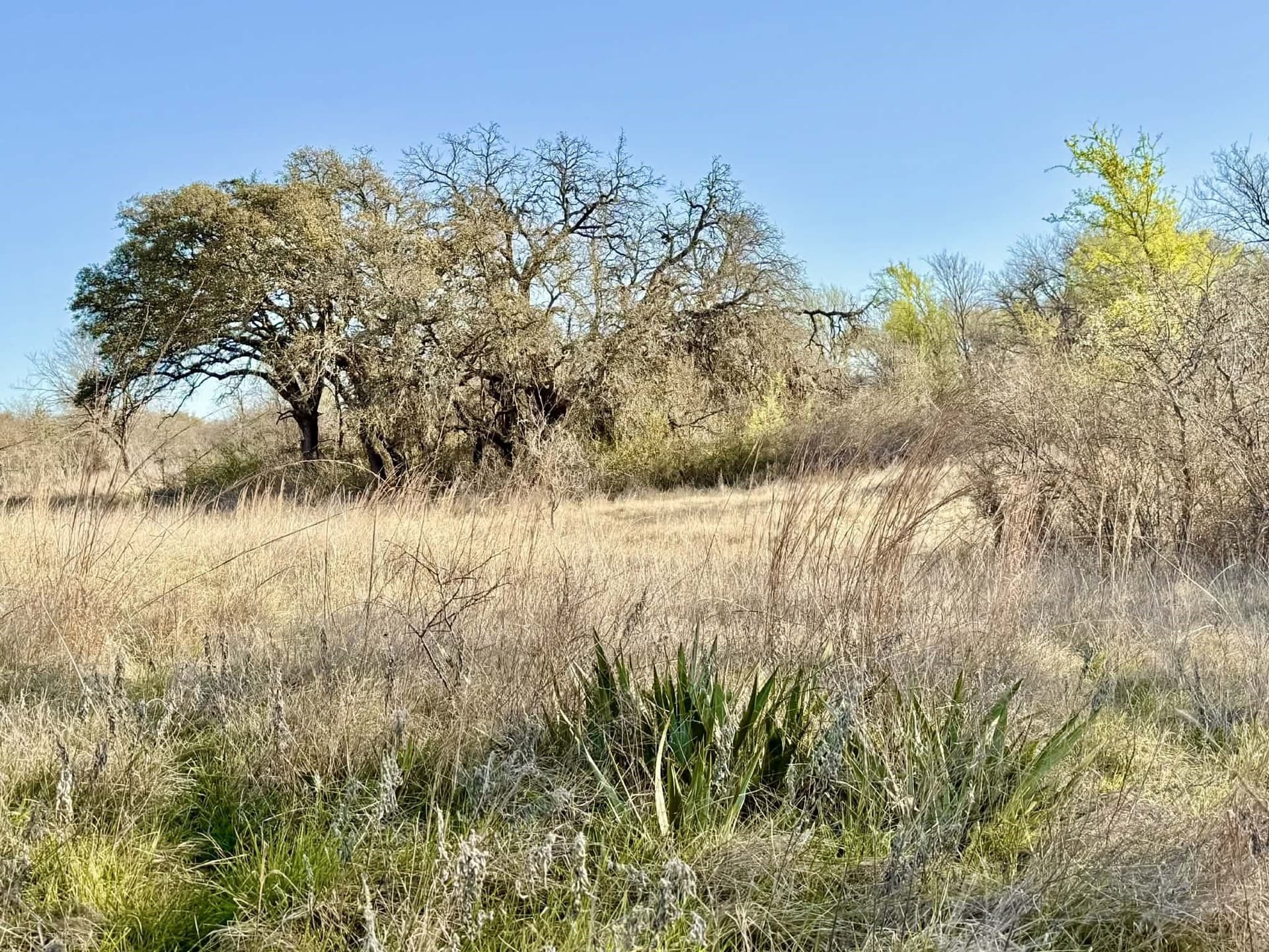 20.02 acres in Comanche County - photo 39