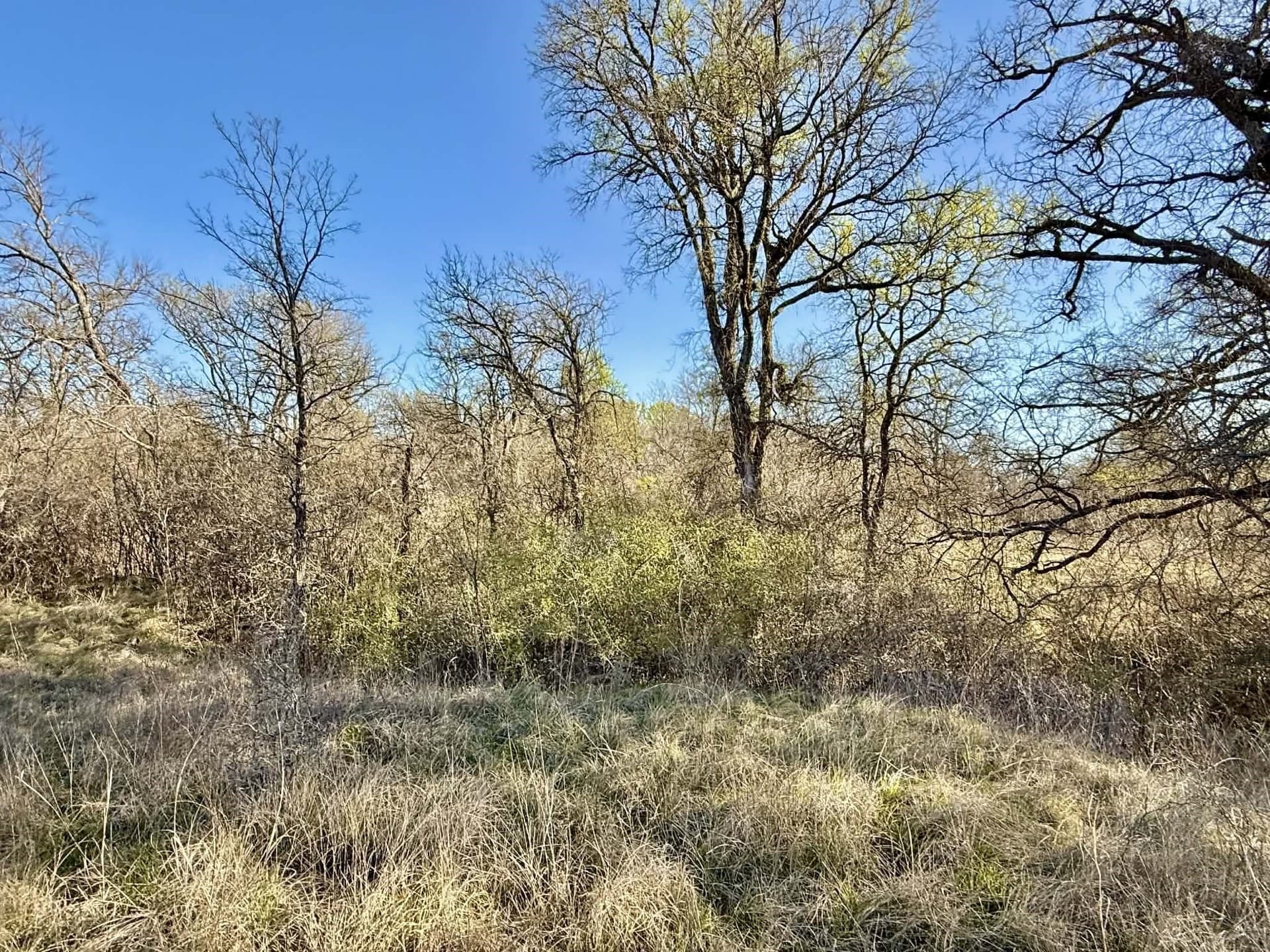 20.02 acres in Comanche County - photo 8